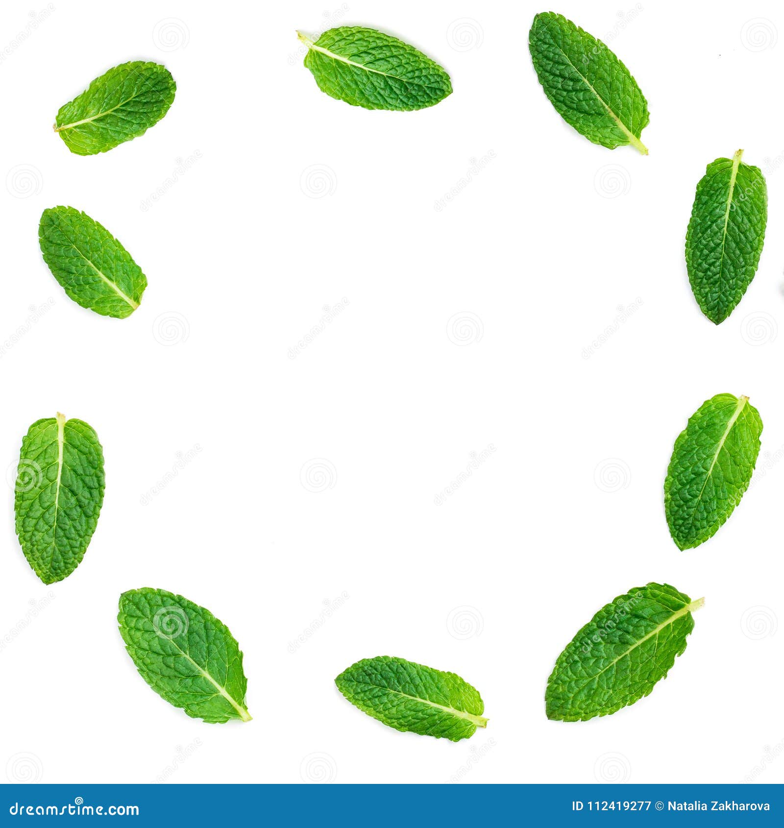 Fresh Mint Leaves Set Isolated on White Background in Circle S Stock Image  - Image of mentha, leaf: 112419277