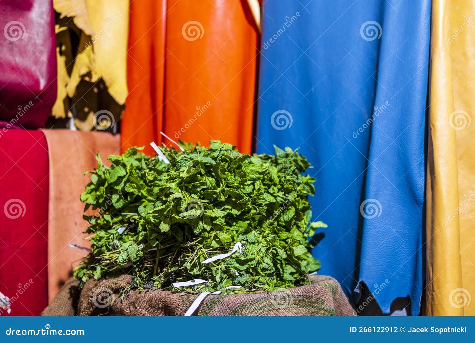 fresh mint leaves sold on the market with colorful leathers as the background, fes, morocco, africa