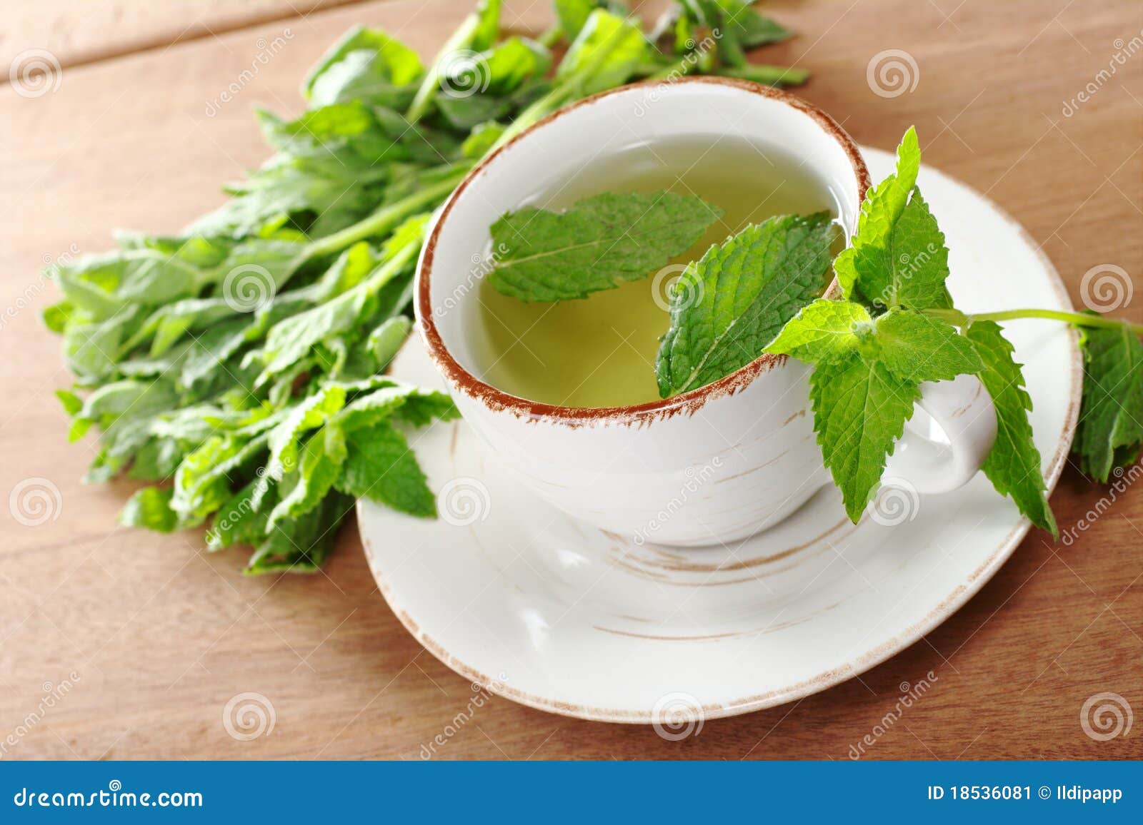Fresh Mint Tea stock image. Image of wood, photograph 18536081