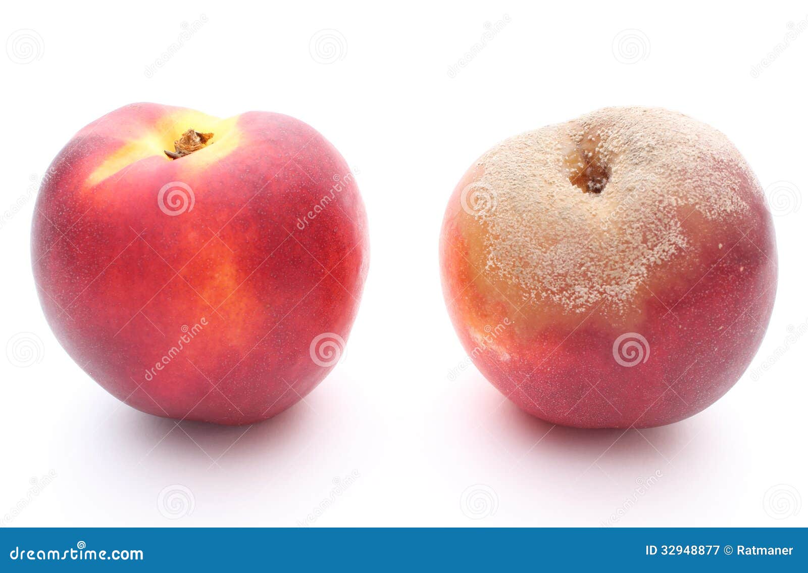Fresh and Moldy Peach on White Background Stock Image Image of food