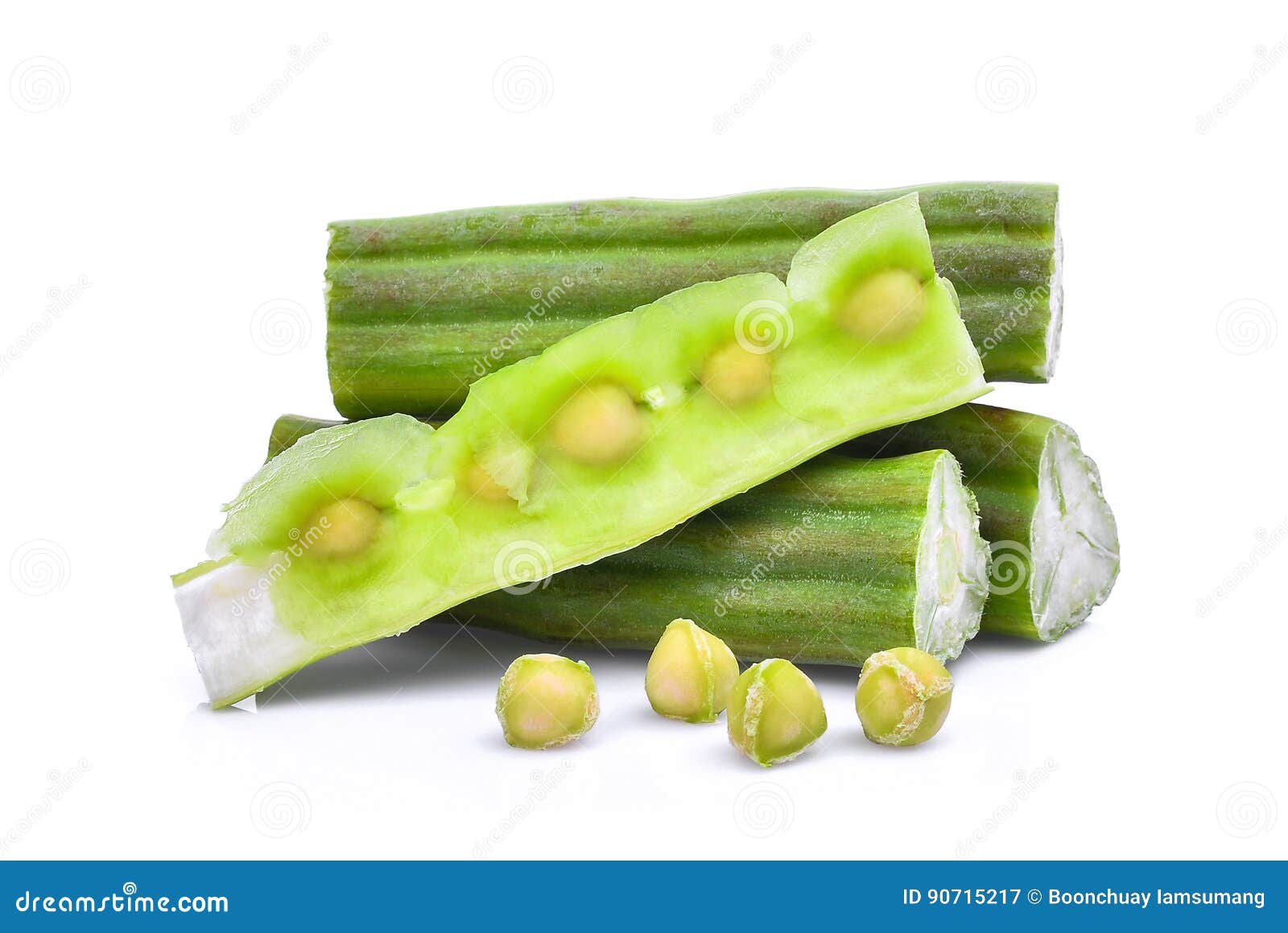 Pod Of Moringa Drumstick Tree With Leaves,Tropical Herbs Stock Image