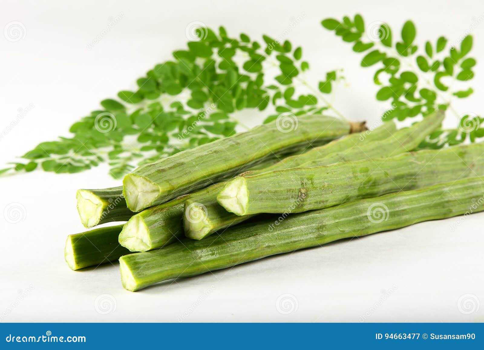 Fresh Moringa Oleifera Fruit and Leaves. Stock Image Image of cookery