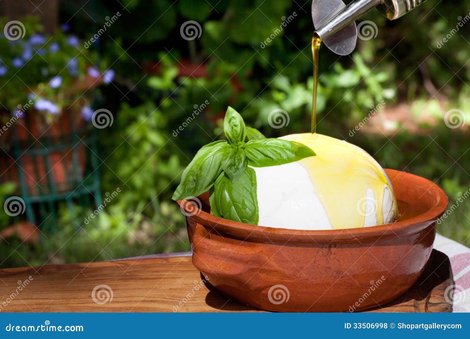 Fresh Mozzarella with Oil and Basil Stock Photo Image of green