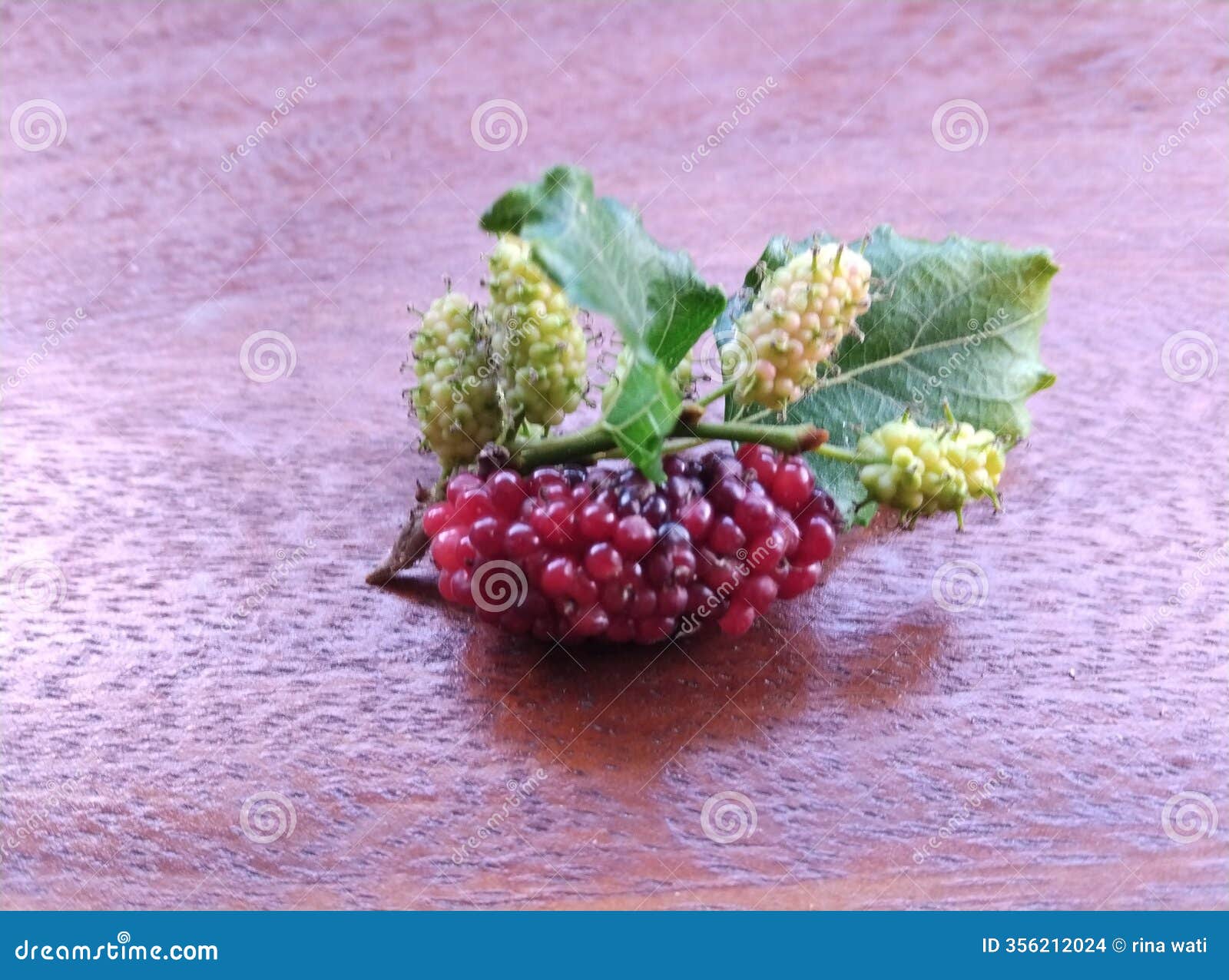 this is fresh mulberry fruit, green in color and purplish red when ripe