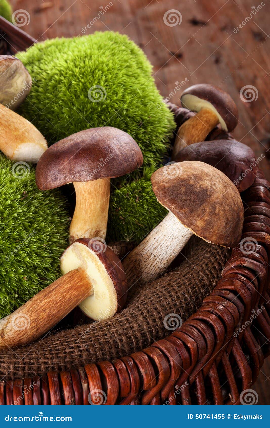 Fresh mushrooms in basket. Fresh delicious mushrooms with moss in wooden basket on brown wooden background.Seasonal mushroom picking.