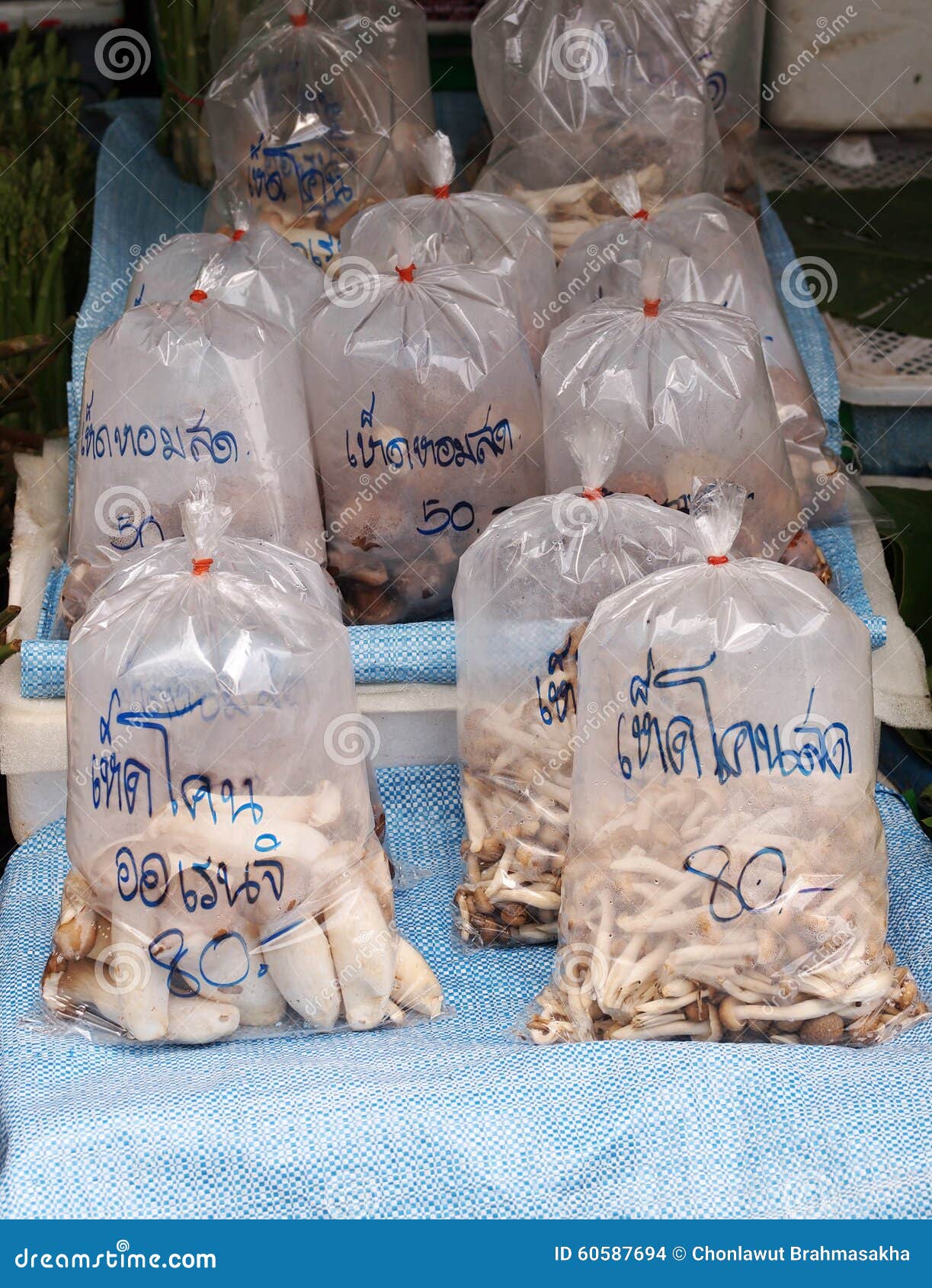 Large Mushroom Grow Bags with 5 Micron Filter XLSB India  Ubuy