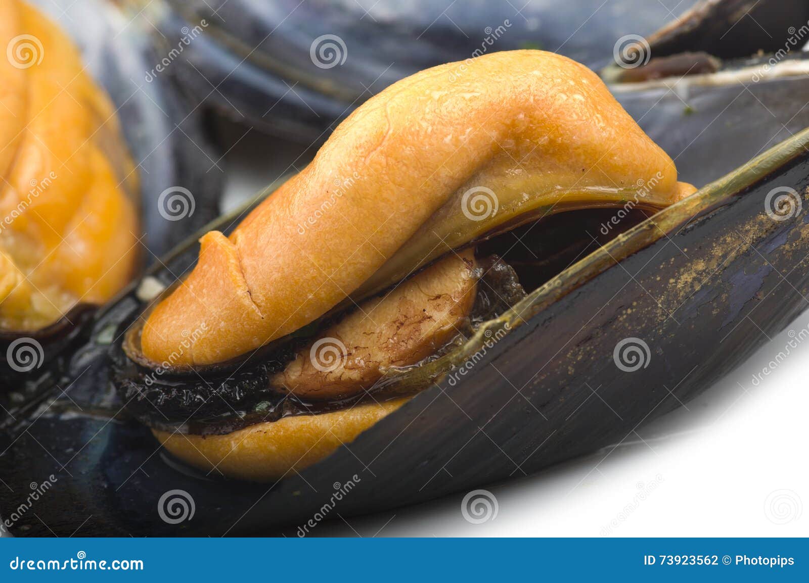 Fresh mussel cooked stock photo. Image of live, macro 73923562