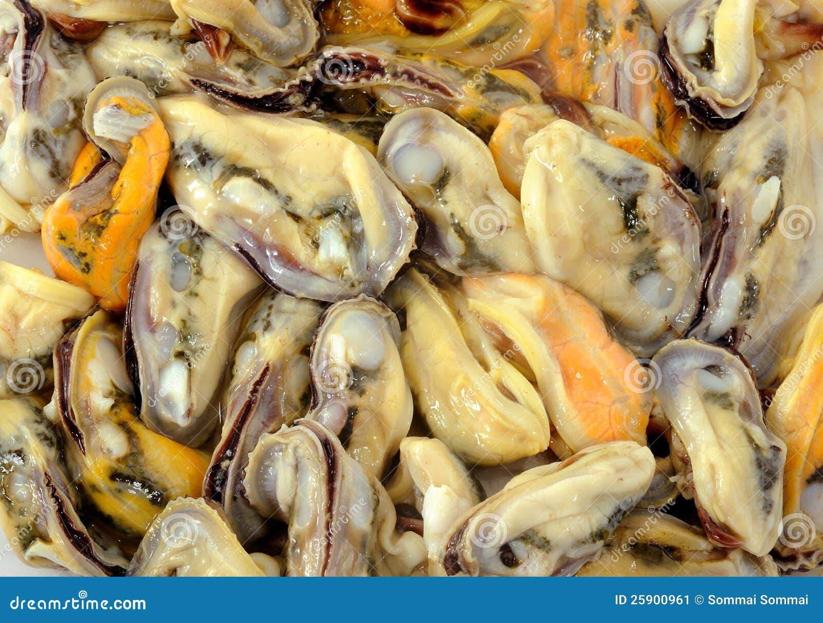 Fresh mussels stock image. Image of gastronomy, omega 25900961