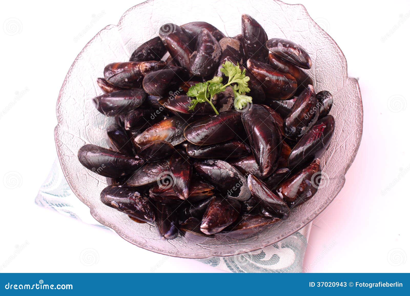 Fresh mussels stock image. Image of meal, mussel, freshness 37020943