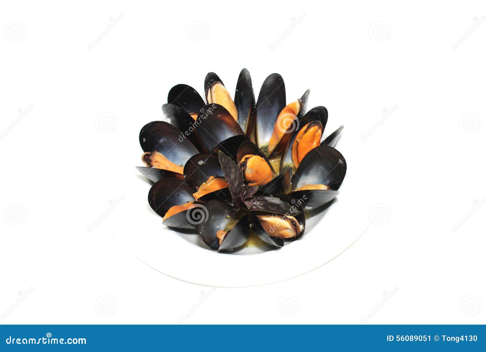 Fresh mussels steamed stock image. Image of meal, cooking 56089051