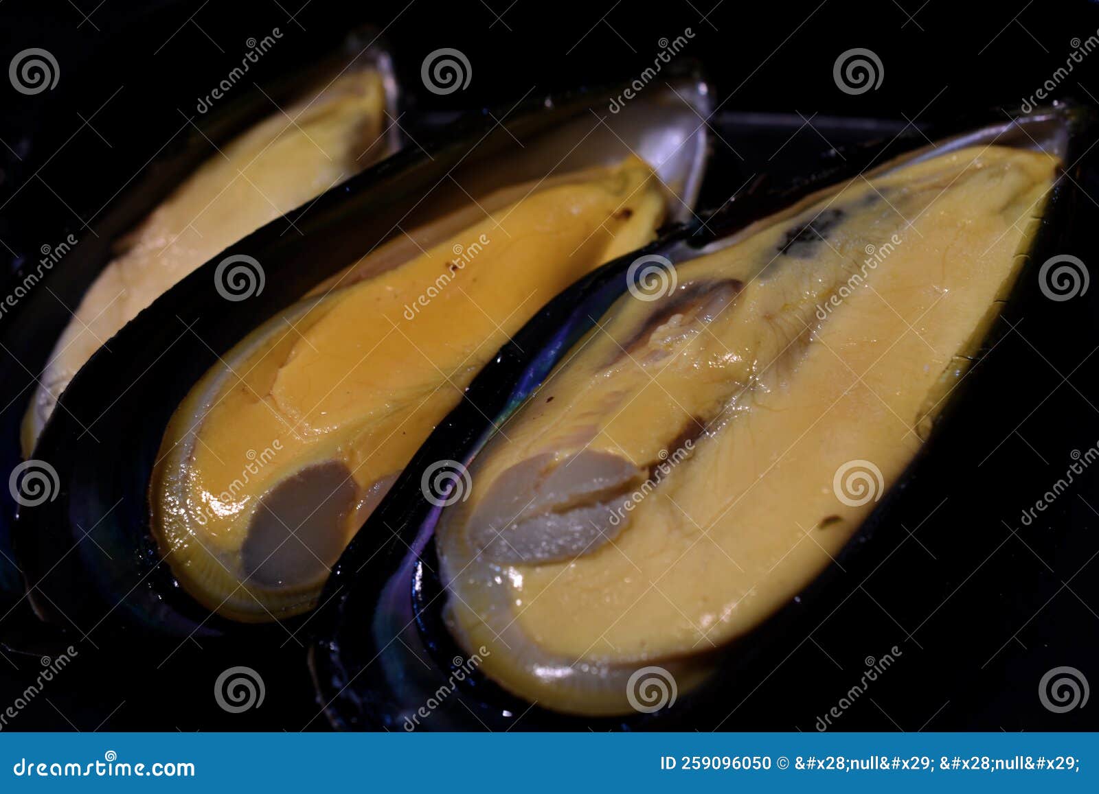 Fresh mussels on a tray stock photo. Image of dinner 259096050