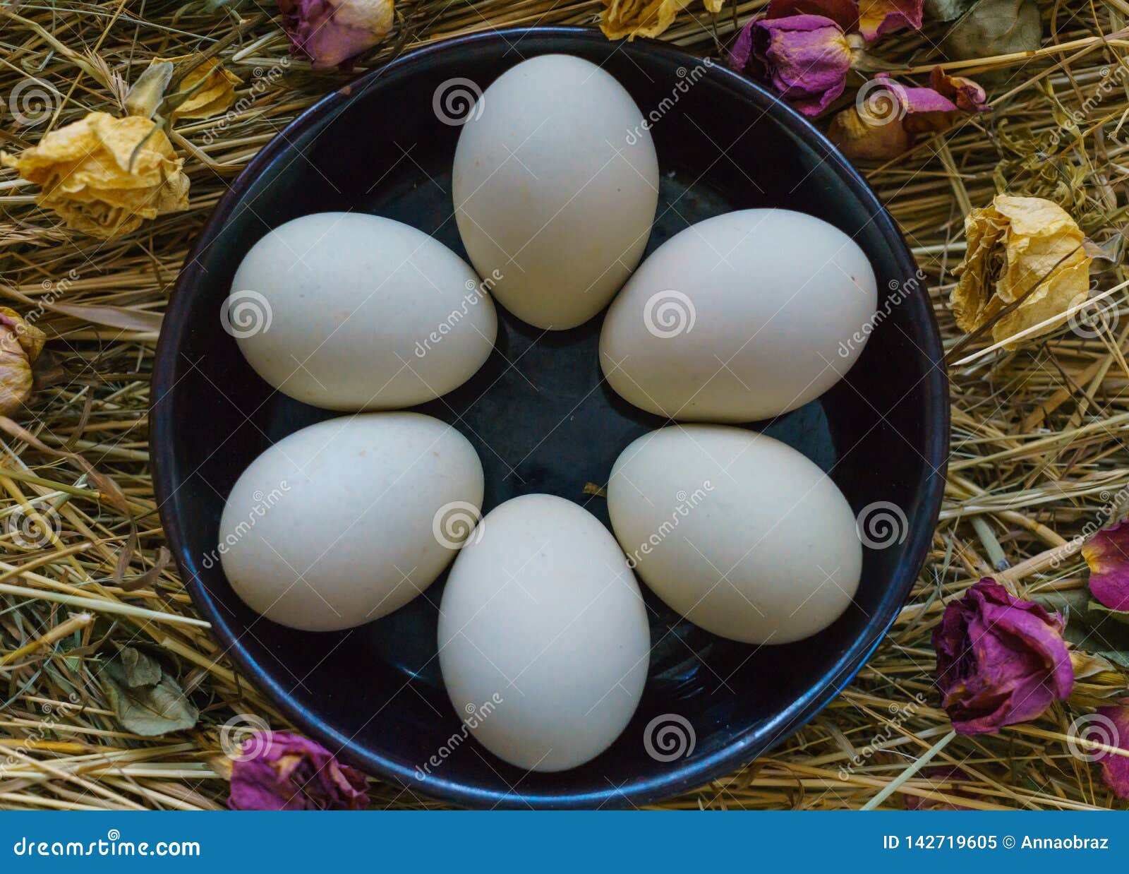 Fresh, Natural Rustic White Chicken Eggs on a Litter of Hay Stock Image