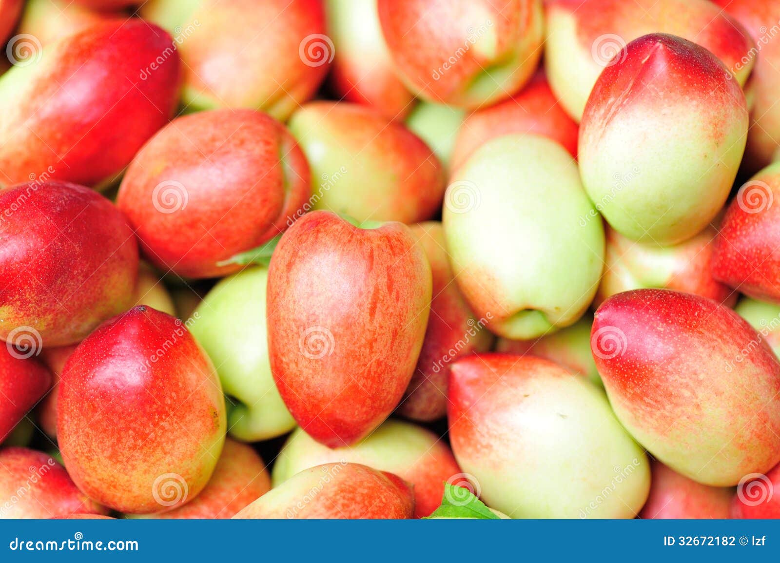 Fresh nectarine stock photo. Image of heap, organic, harvest 32672182