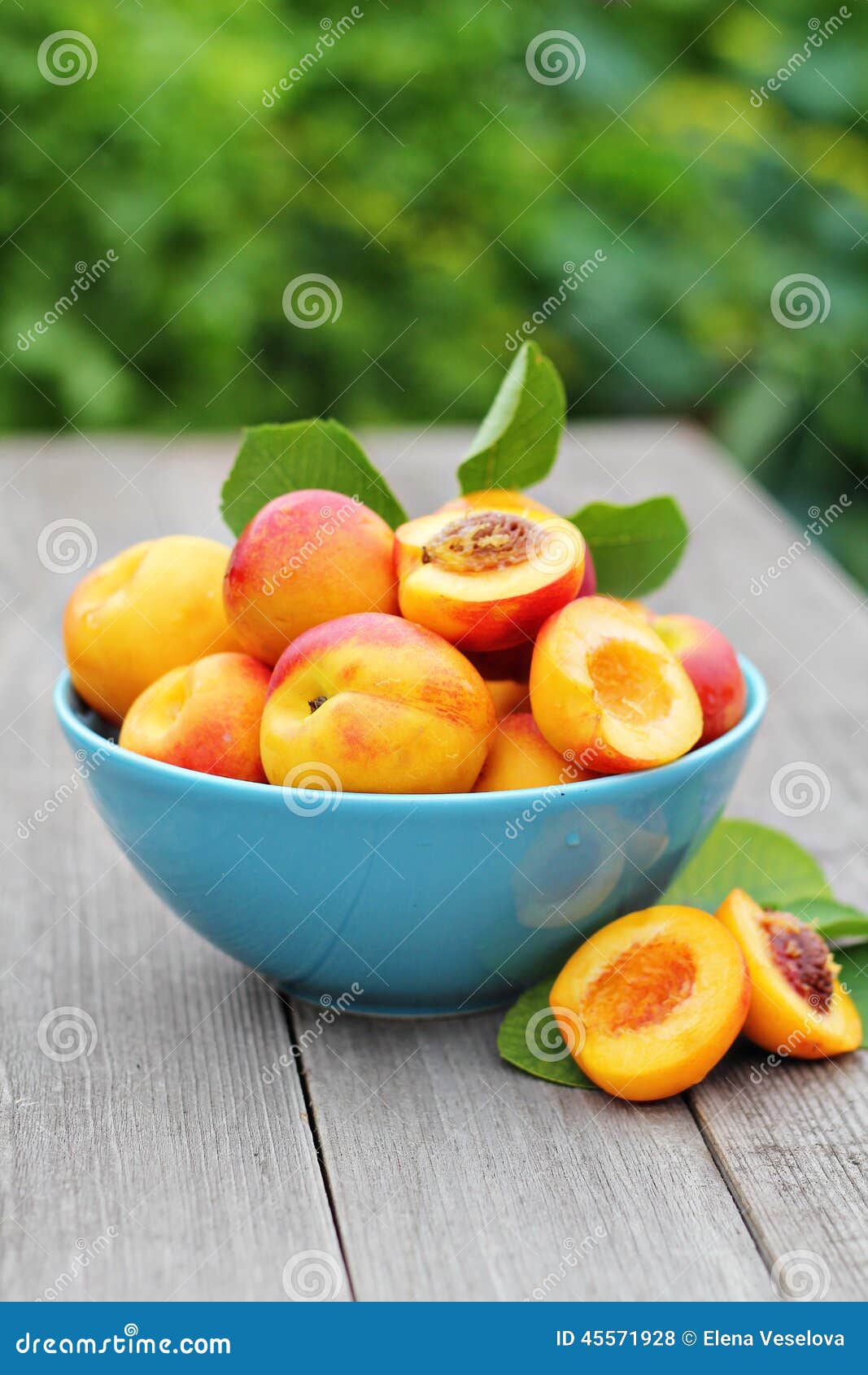 Fresh nectarines in a bowl stock photo. Image of bright 45571928