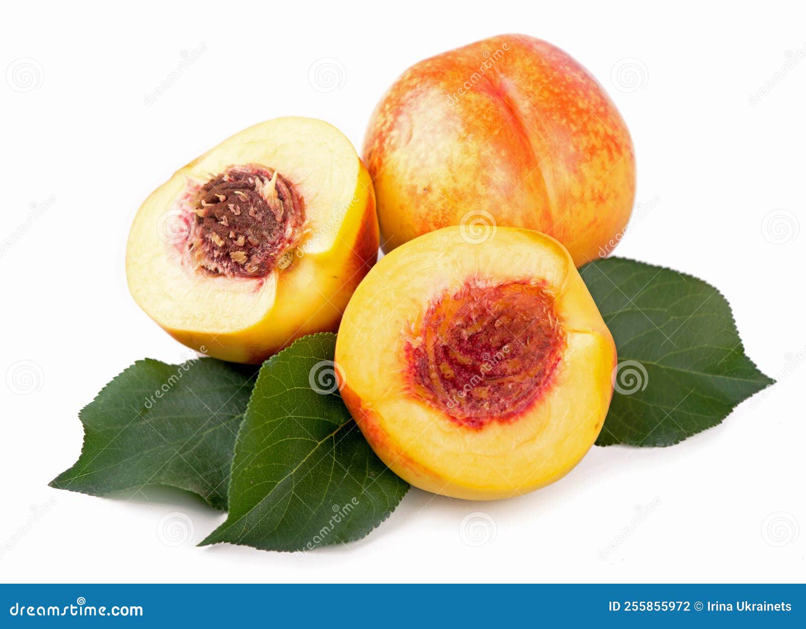 Fresh Nectarines with Leaves Isolated on White Background Stock Photo