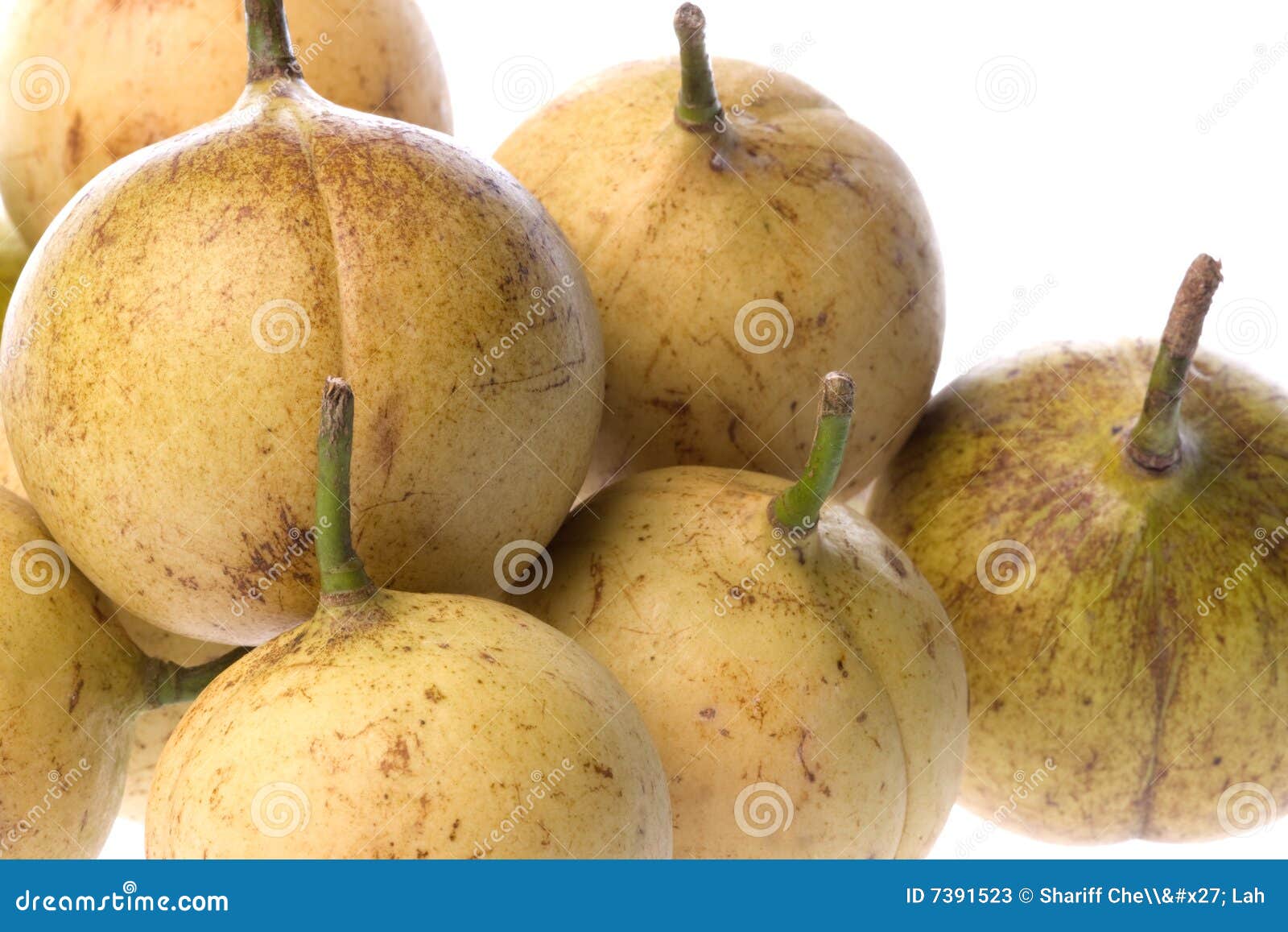 Fresh Nutmegs Isolated stock image. Image of fruits, fruit 7391523