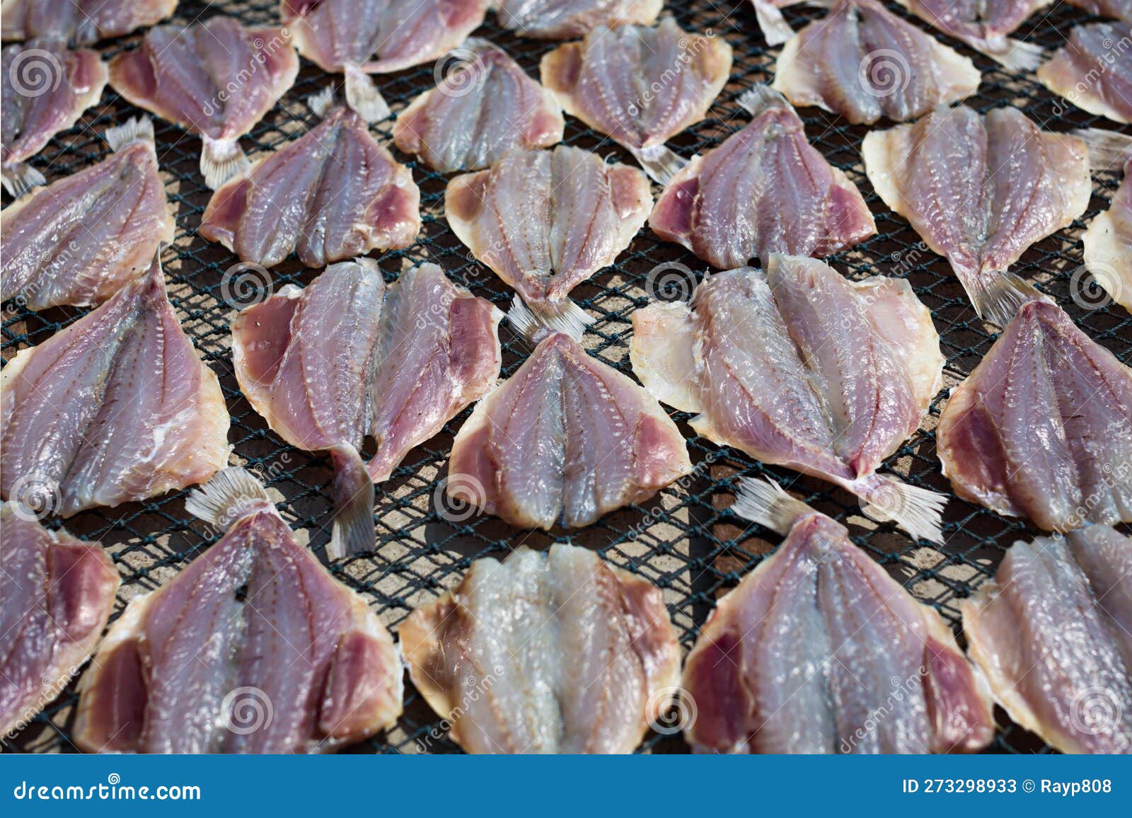 Fresh Ocean Fish on a Fishing Net, at the Fish Market Stock Image - Image  of fish, coast: 273298933