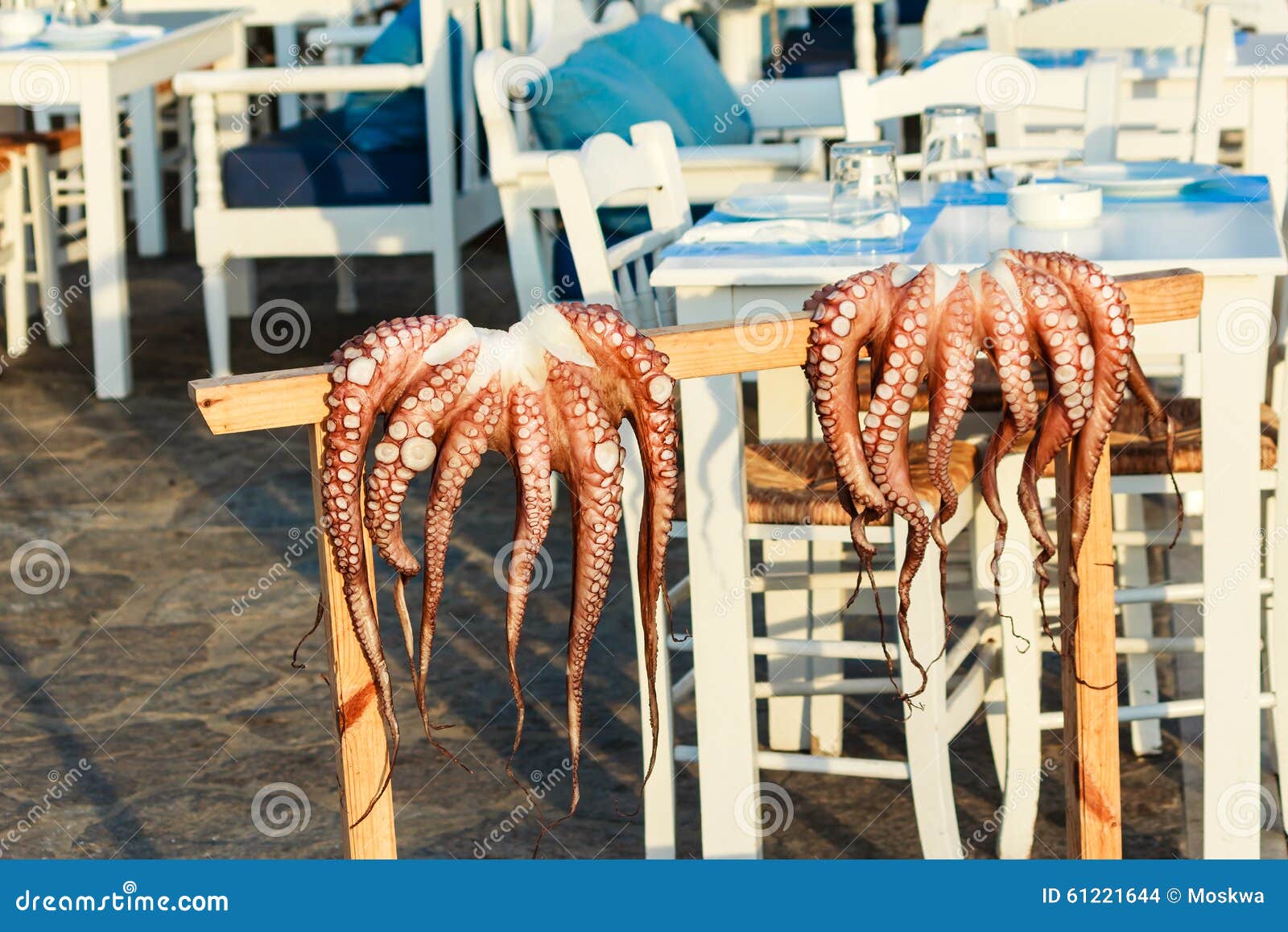 Fresh Octopus Hanging in Front of a Greek Seafood Restaurant Stock