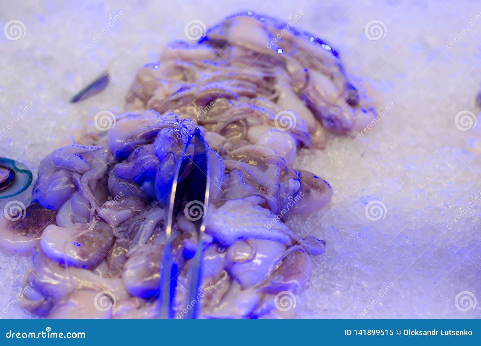 Fresh octopus on ice stock image. Image of color, background 141899515