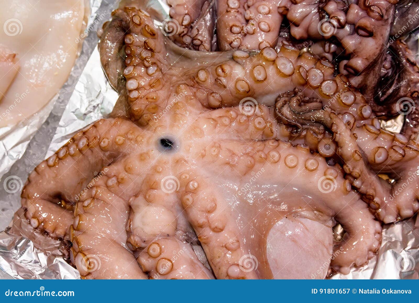 Pulpo xxx