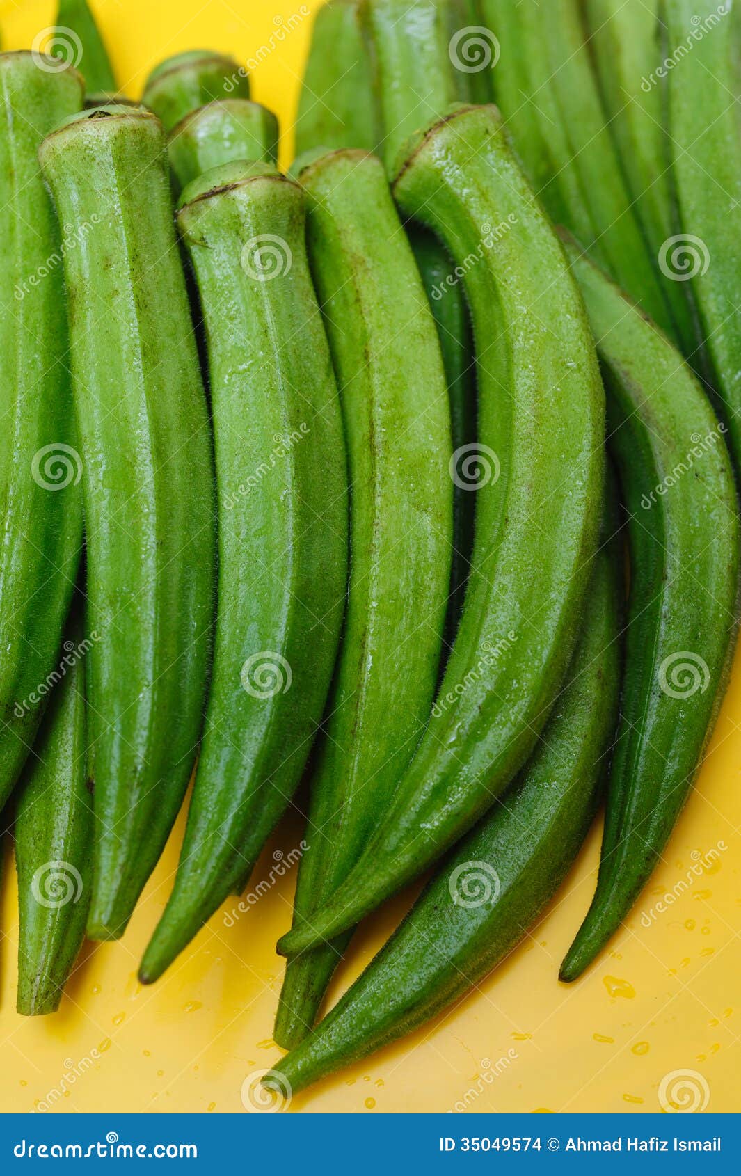 Fresh Okra Ladyfingers stock photo. Image of farm, food 35049574