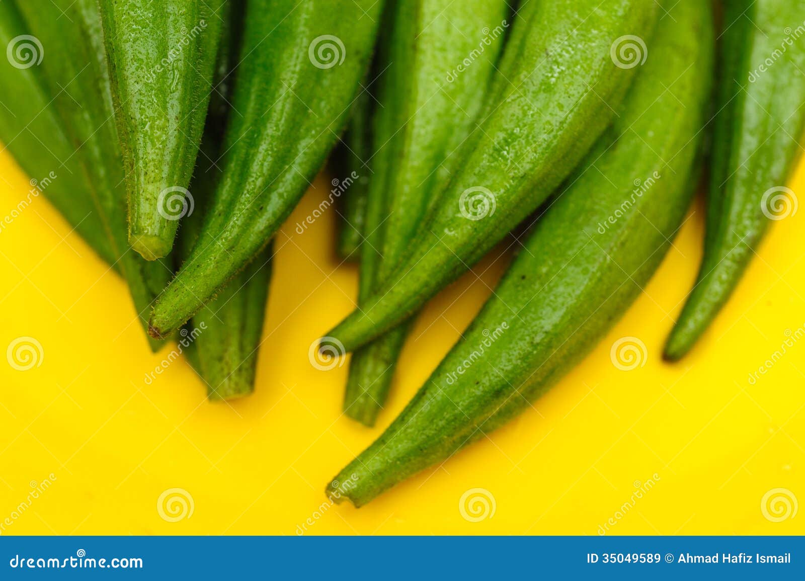 Fresh Okra Ladyfingers stock image. Image of esculentus 35049589