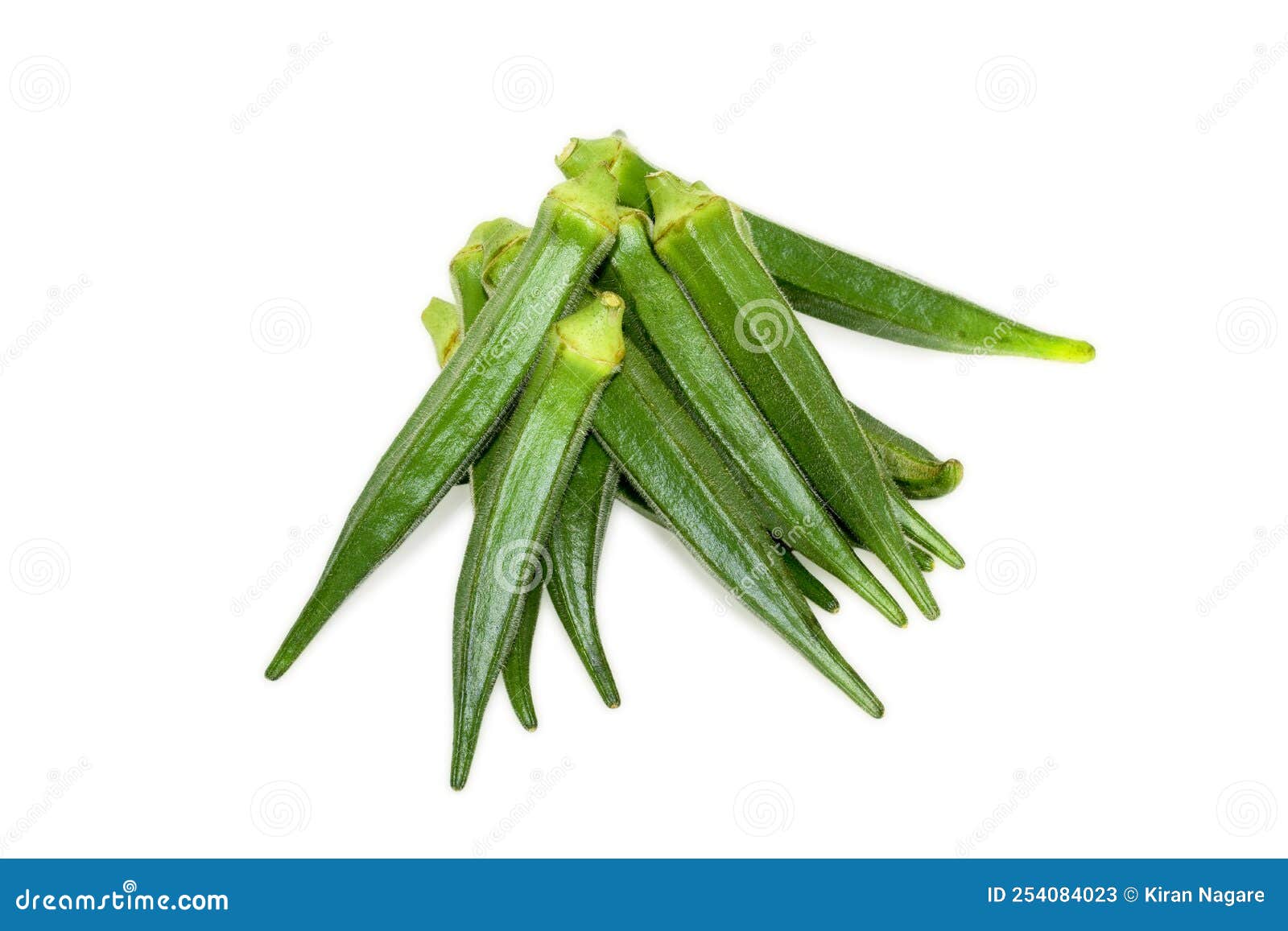 Fresh okra vegetable stock image. Image of ripe, vegetarian 254084023