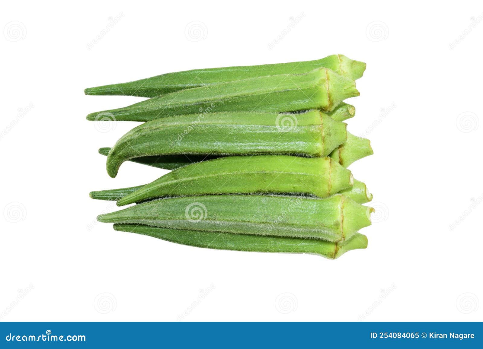 Fresh okra vegetable stock image. Image of food, slice 254084065