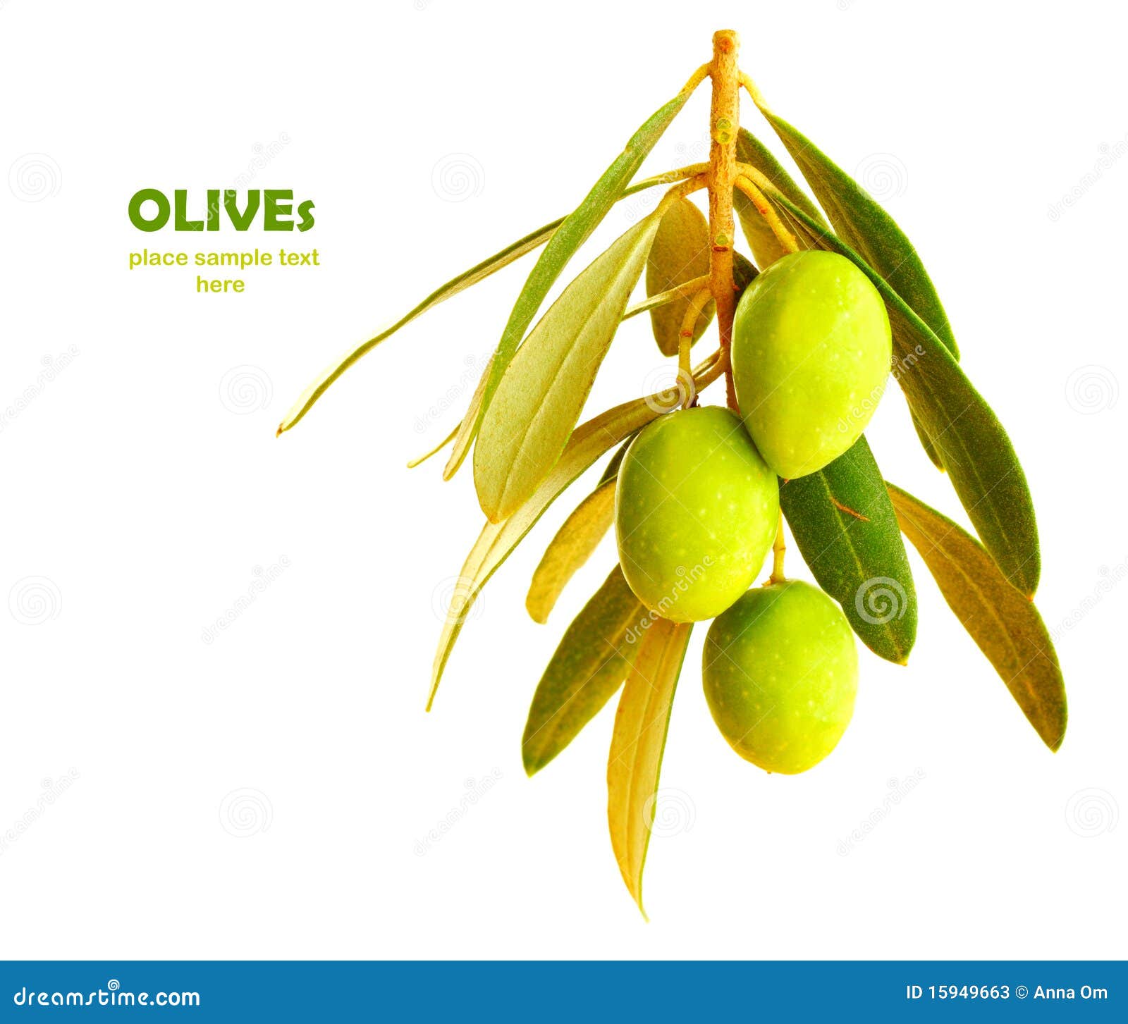 Fresh olives stock image. Image of isolated, agriculture 15949663