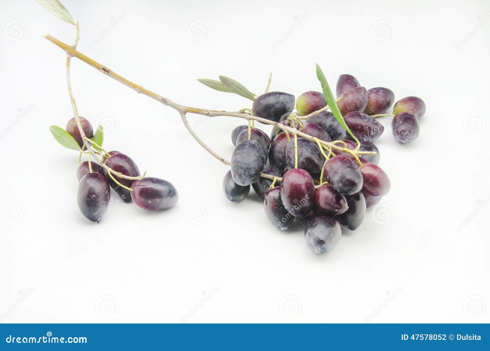 Fresh olives stock photo. Image of cuisine, spain, industry 47578052