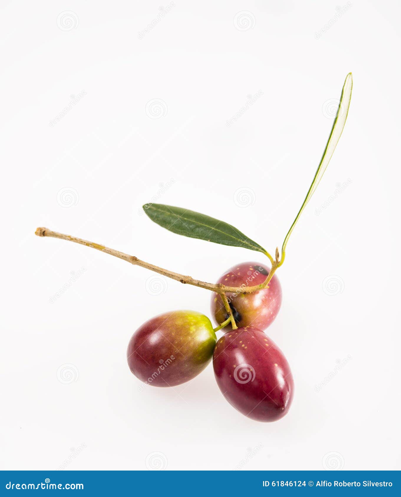 Fresh olives stock photo. Image of rustic, olive, black 61846124