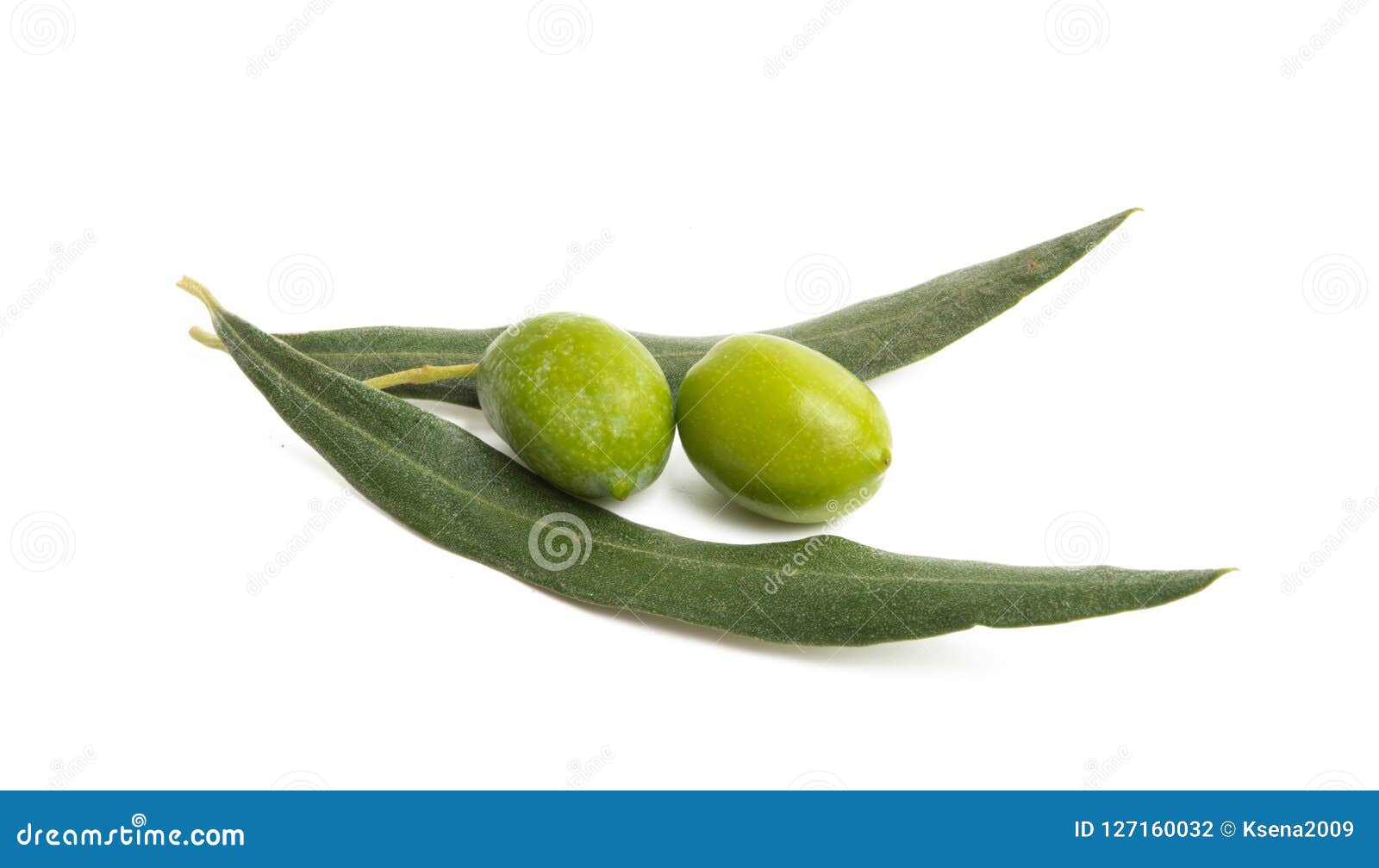 Fresh Olives with Leaves Isolated Stock Photo Image of greece, vegetable 127160032