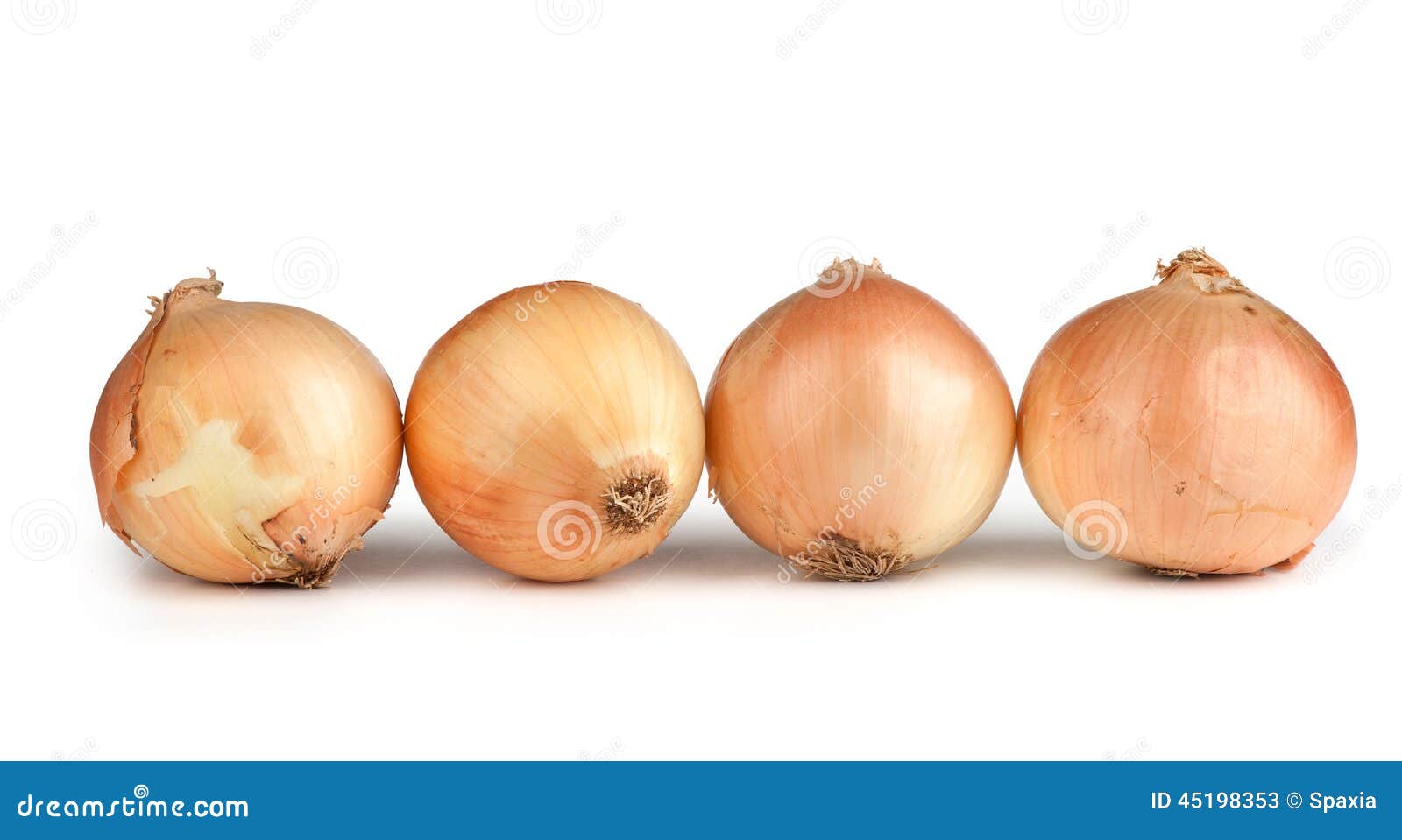 Fresh onion bulbs stock image. Image of lifestyle, herbs 45198353