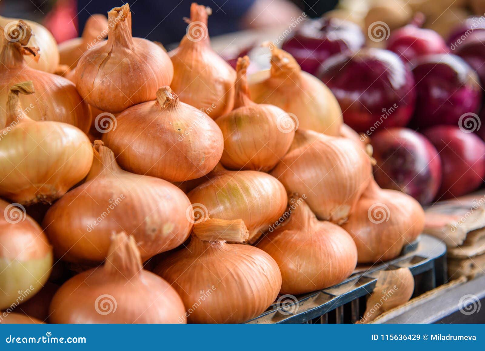Fresh onion at the market stock image. Image of close 115636429