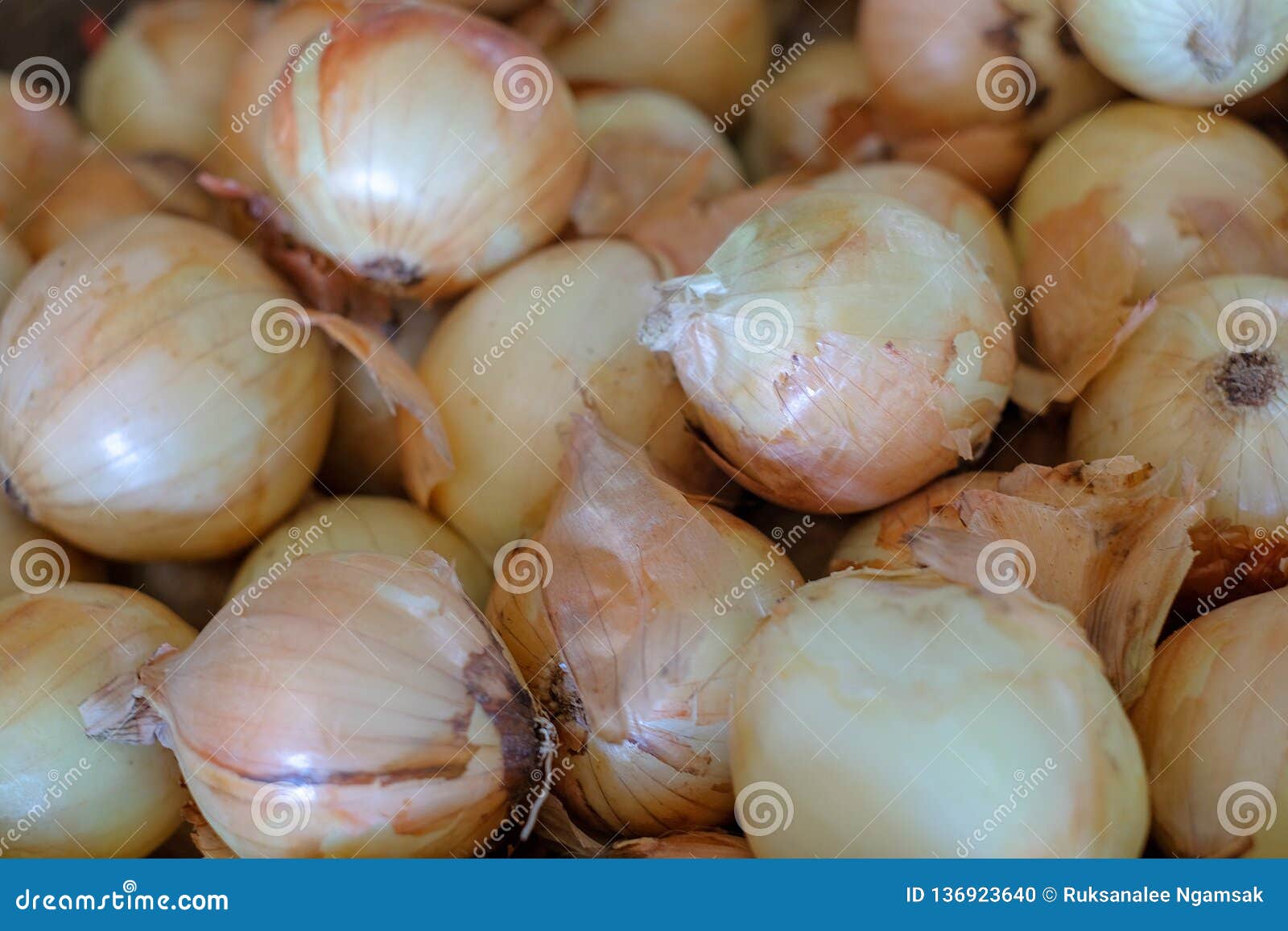 Fresh Onions Link