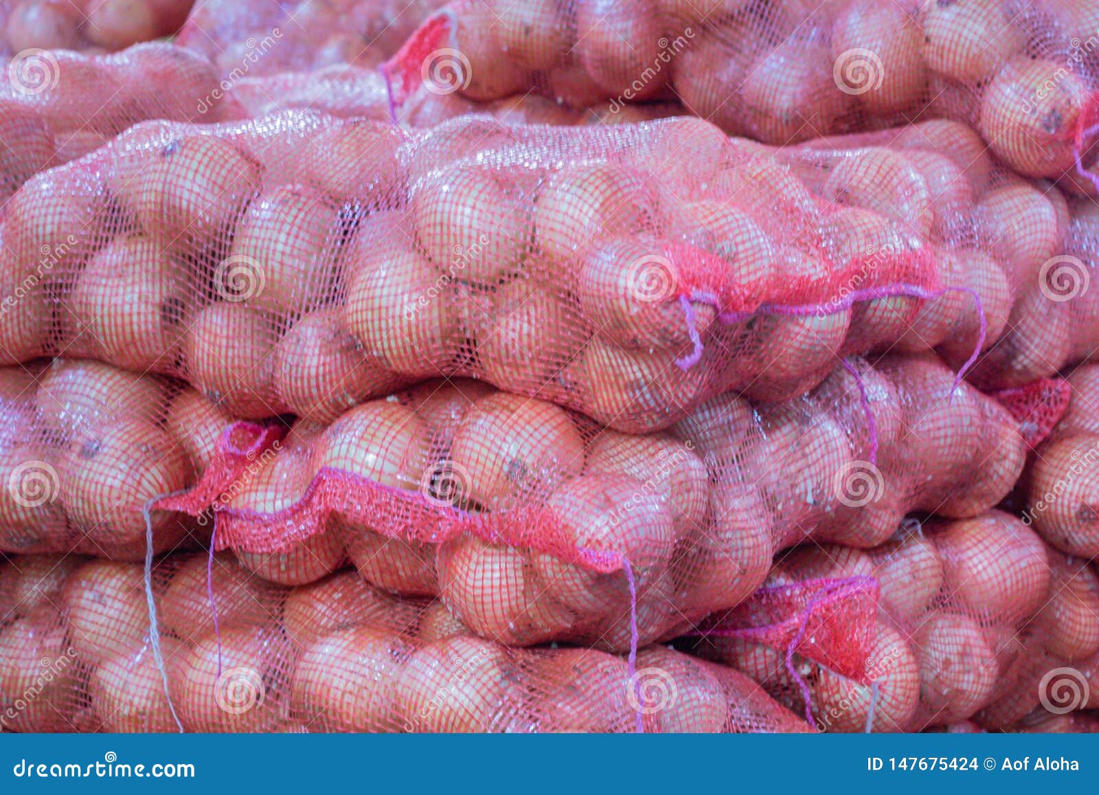 Fresh Onions in Plastic Bag.Onions Background.Onions in the Market
