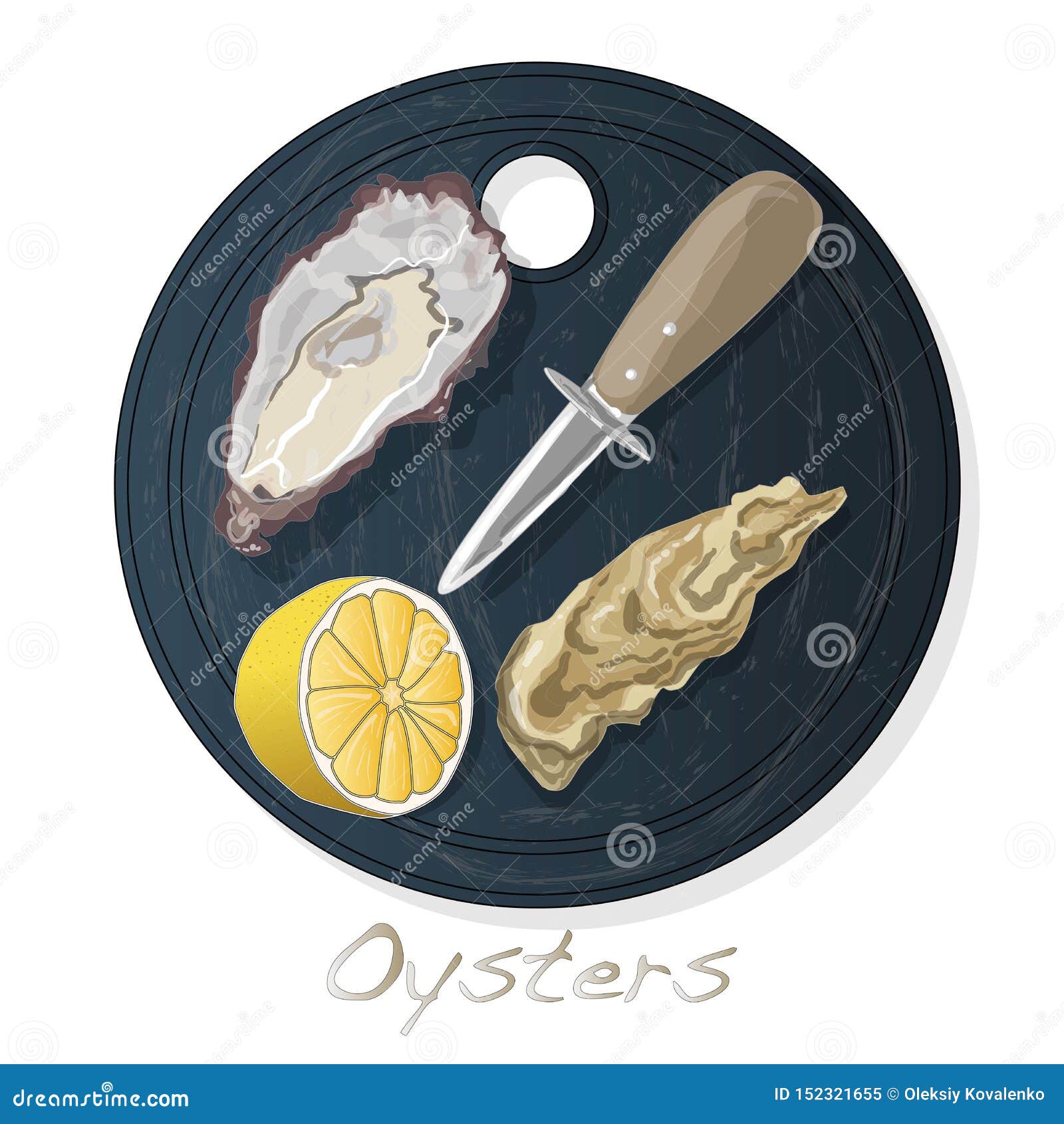 Oyster. Vector Drawing 159326952