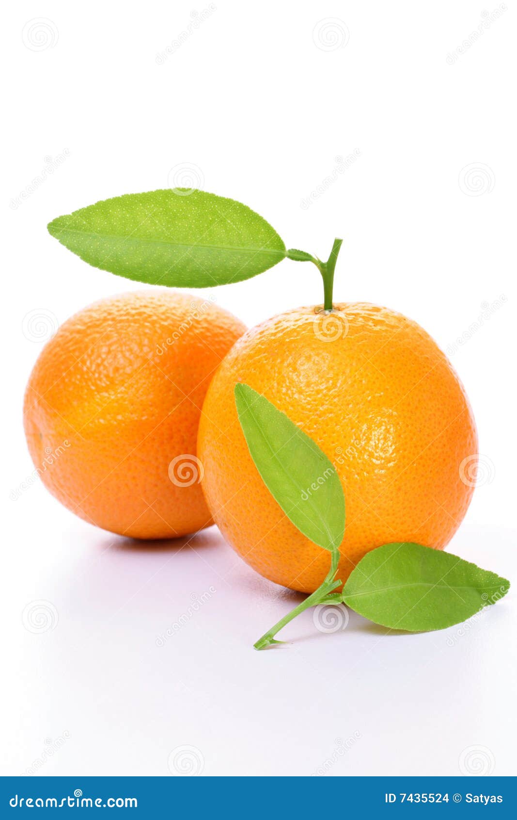 Fresh Orange fruits stock photo. Image of tangerine, leaves 7435524