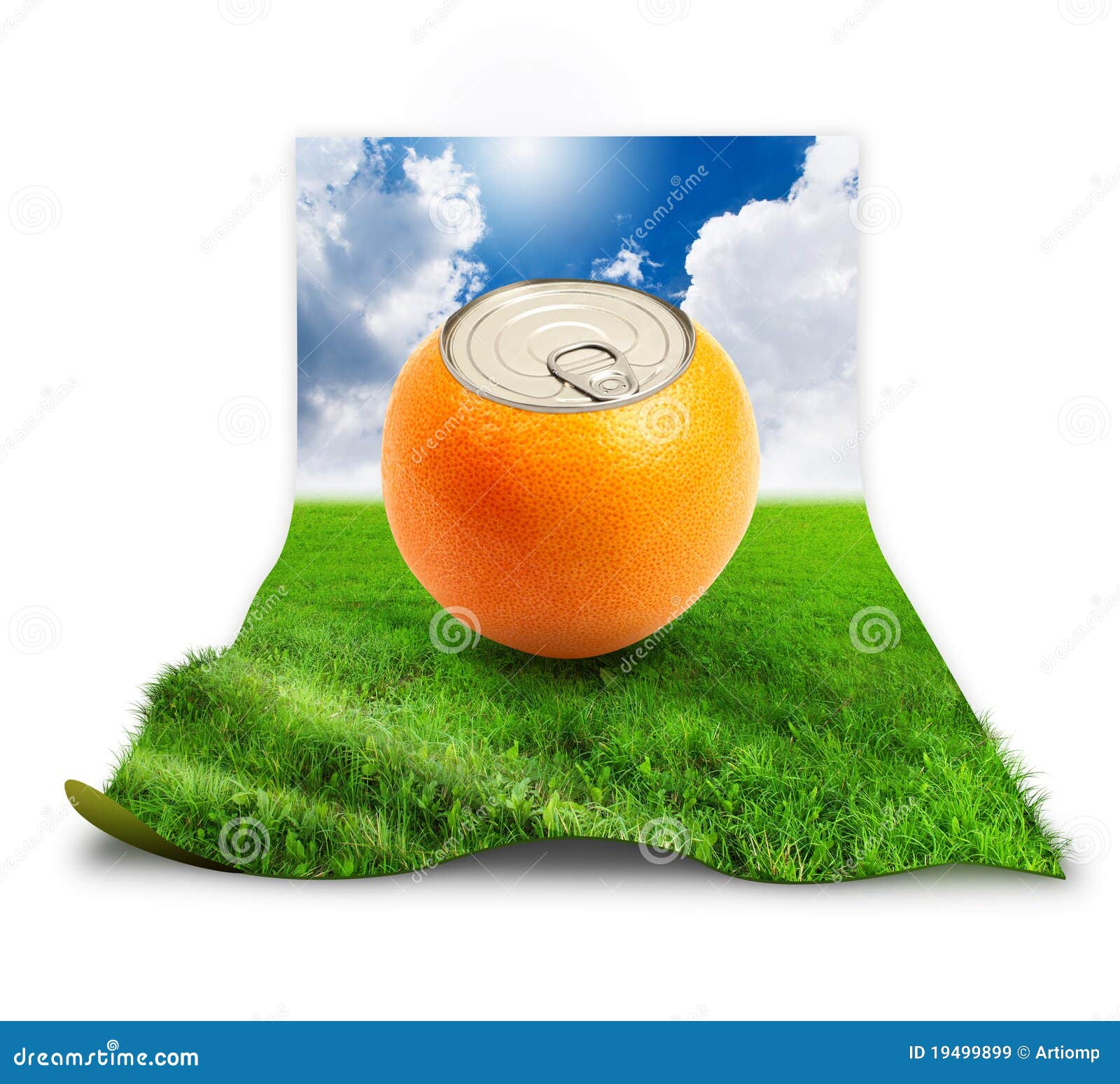 Fresh orange on grass. stock image. Image of juice, ecology 19499899