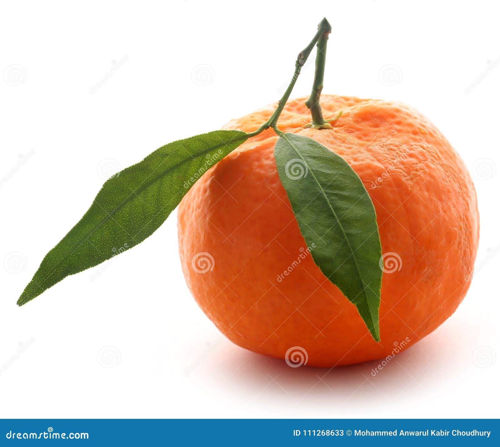 Fresh Orange with Green Leaf Stock Image Image of oranges, leaf
