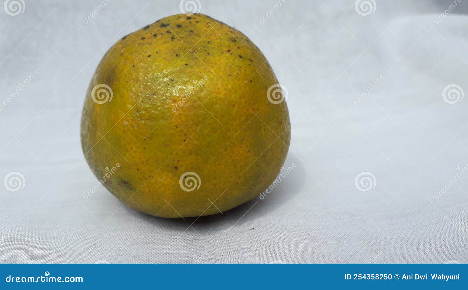 Fresh Orange or Jeruk in Indonesian Stock Photo Image of fresh, tree