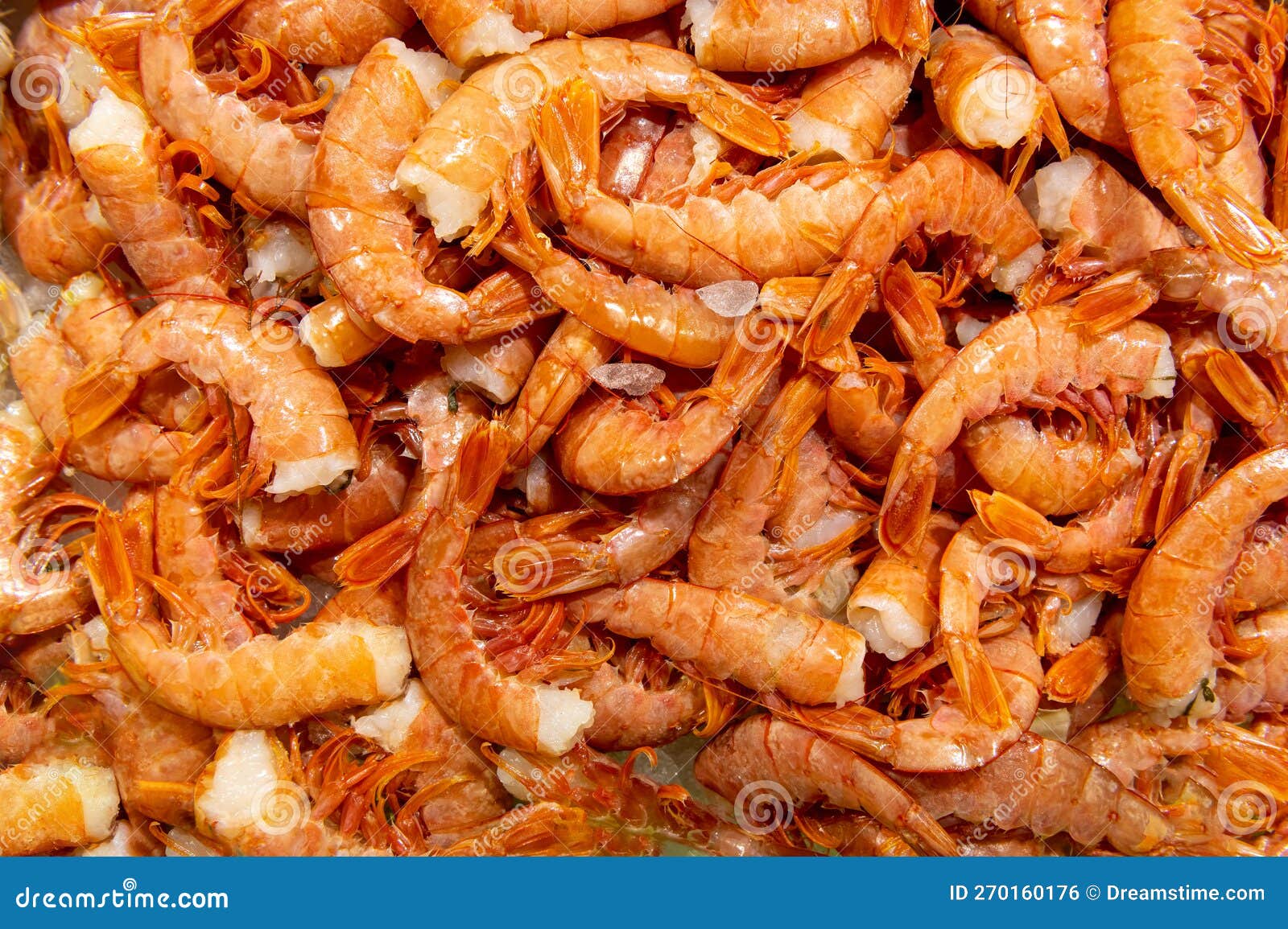 Fresh Orange Shrimps on Fish Market Stock Photo Image of octopus