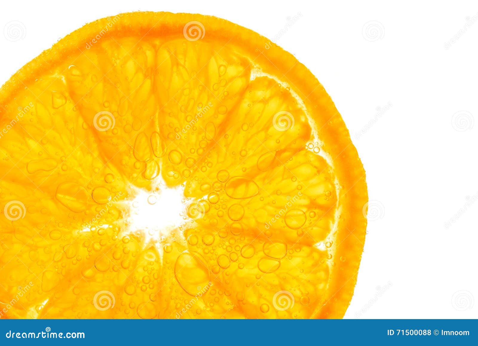 Fresh Orange Slice in Water with Bubbles Stock Photo Image of