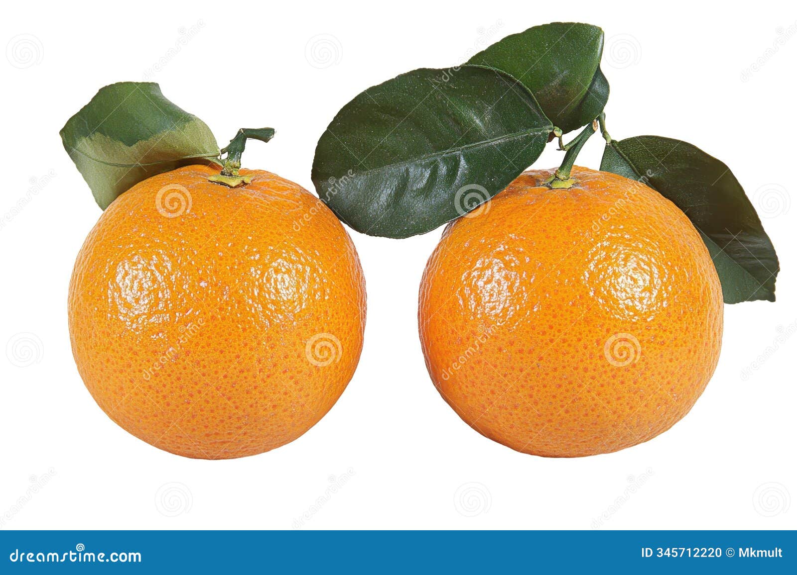 fresh oranges with green leaves    creating visual chaos