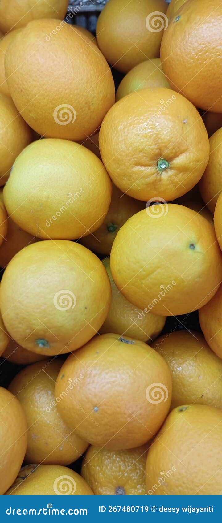 Fresh Oranges Rich Vitamin C Stock Image Image of dish, fruit 267480719