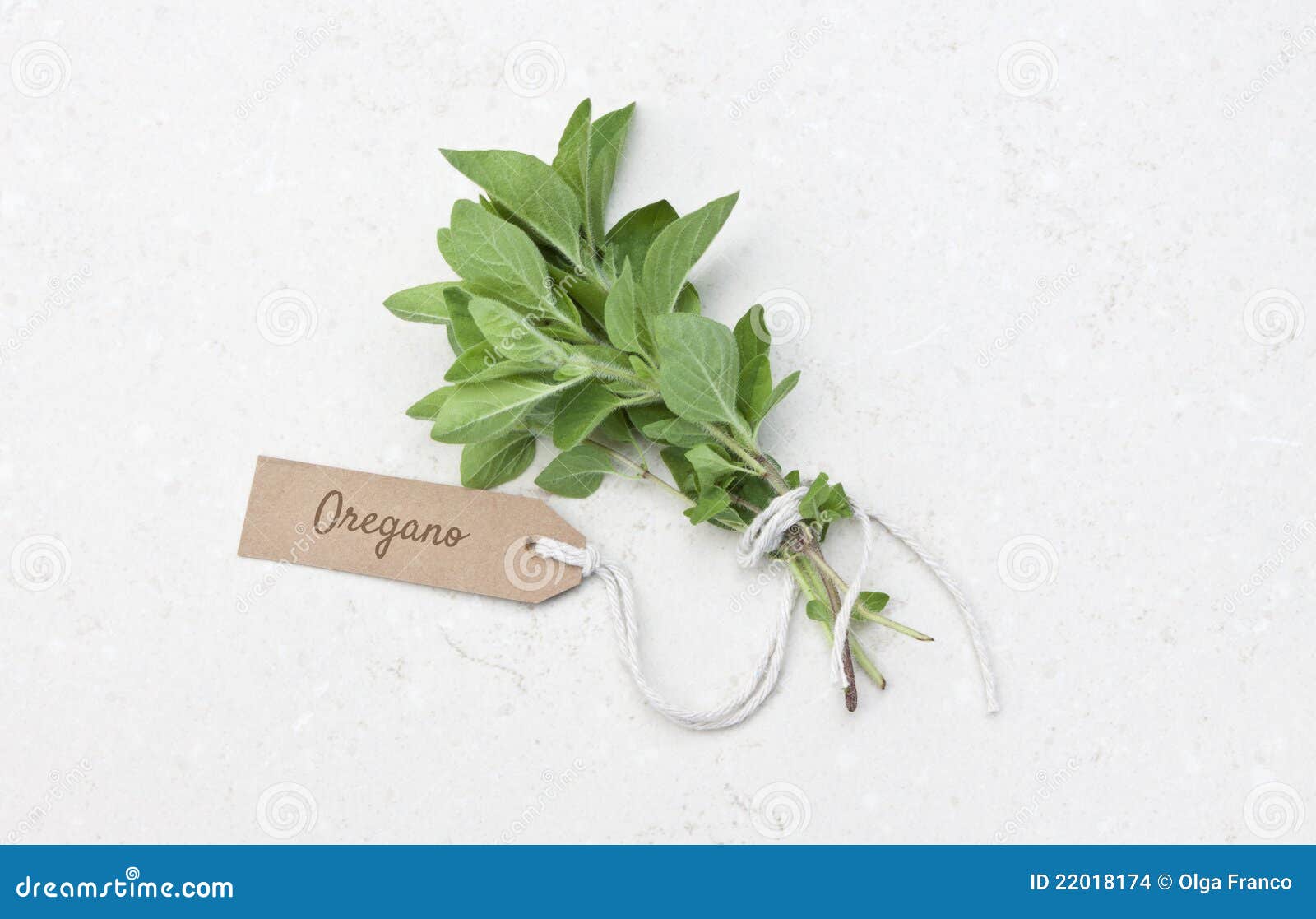 Fresh oregano herb stock photo. Image of thyme, garden 22018174