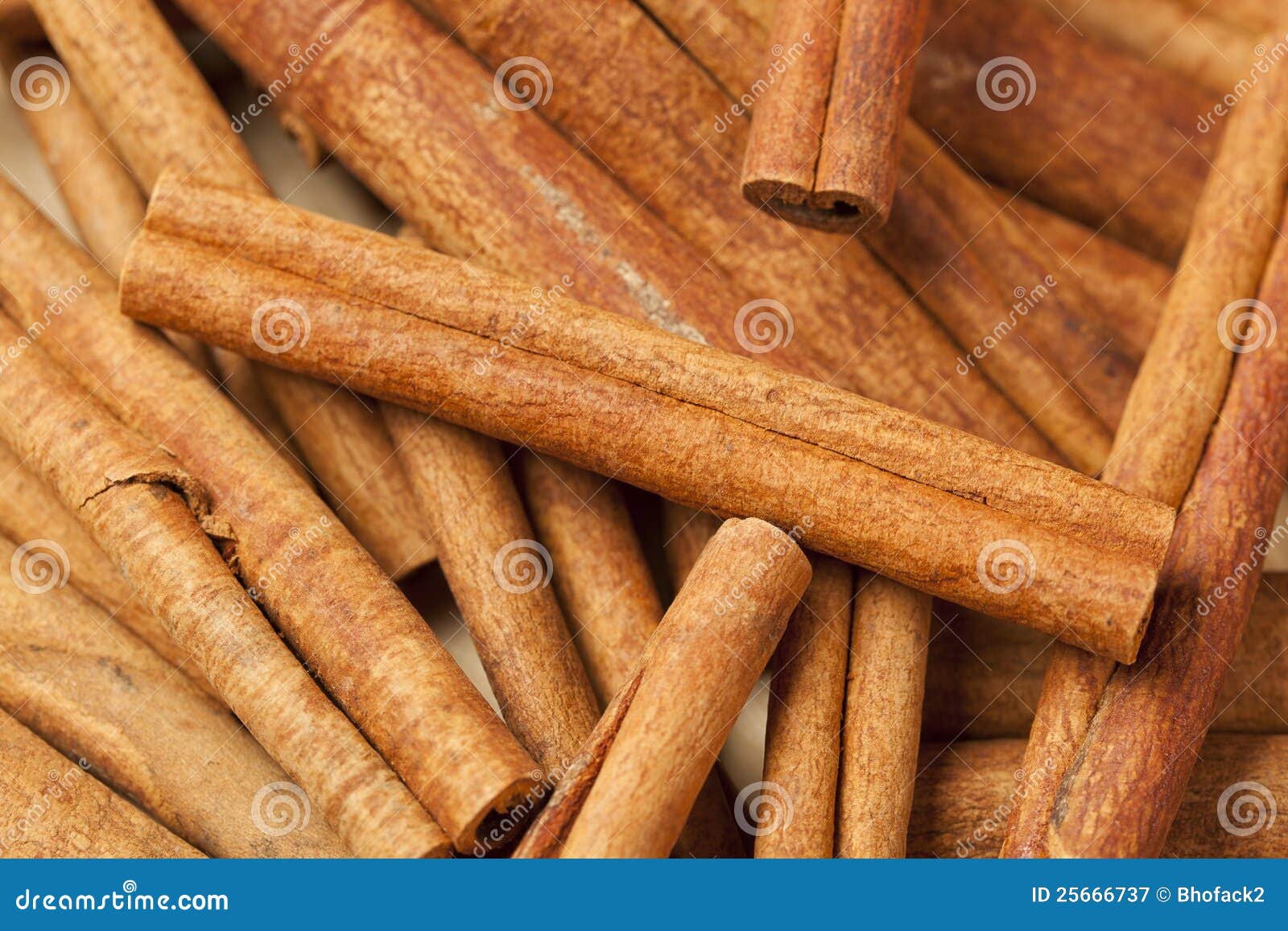 Fresh Organic Cinnamon stock image. Image of herb, natural 25666737