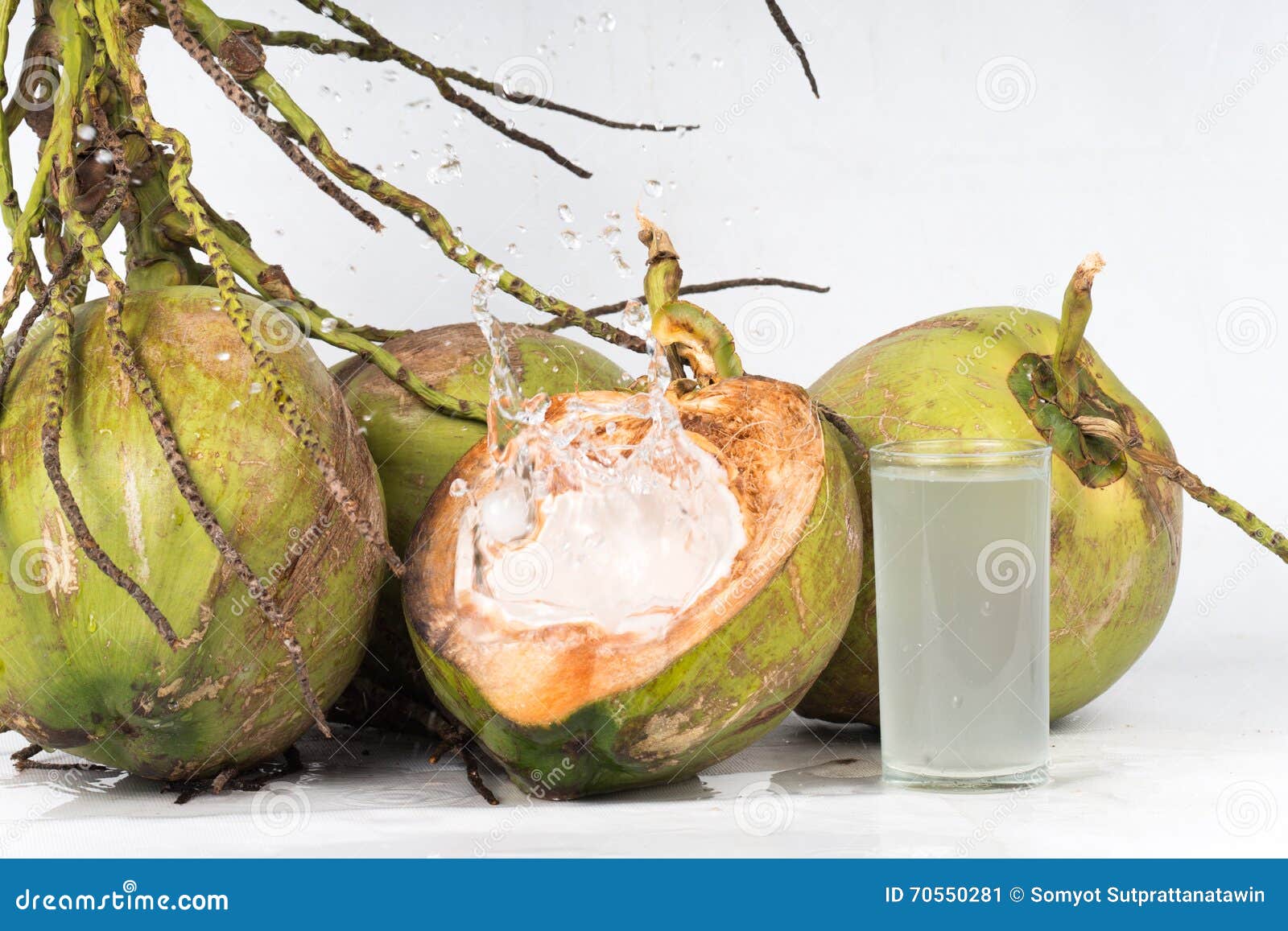 Fresh organic coconut stock image. Image of summer, sweet 70550281