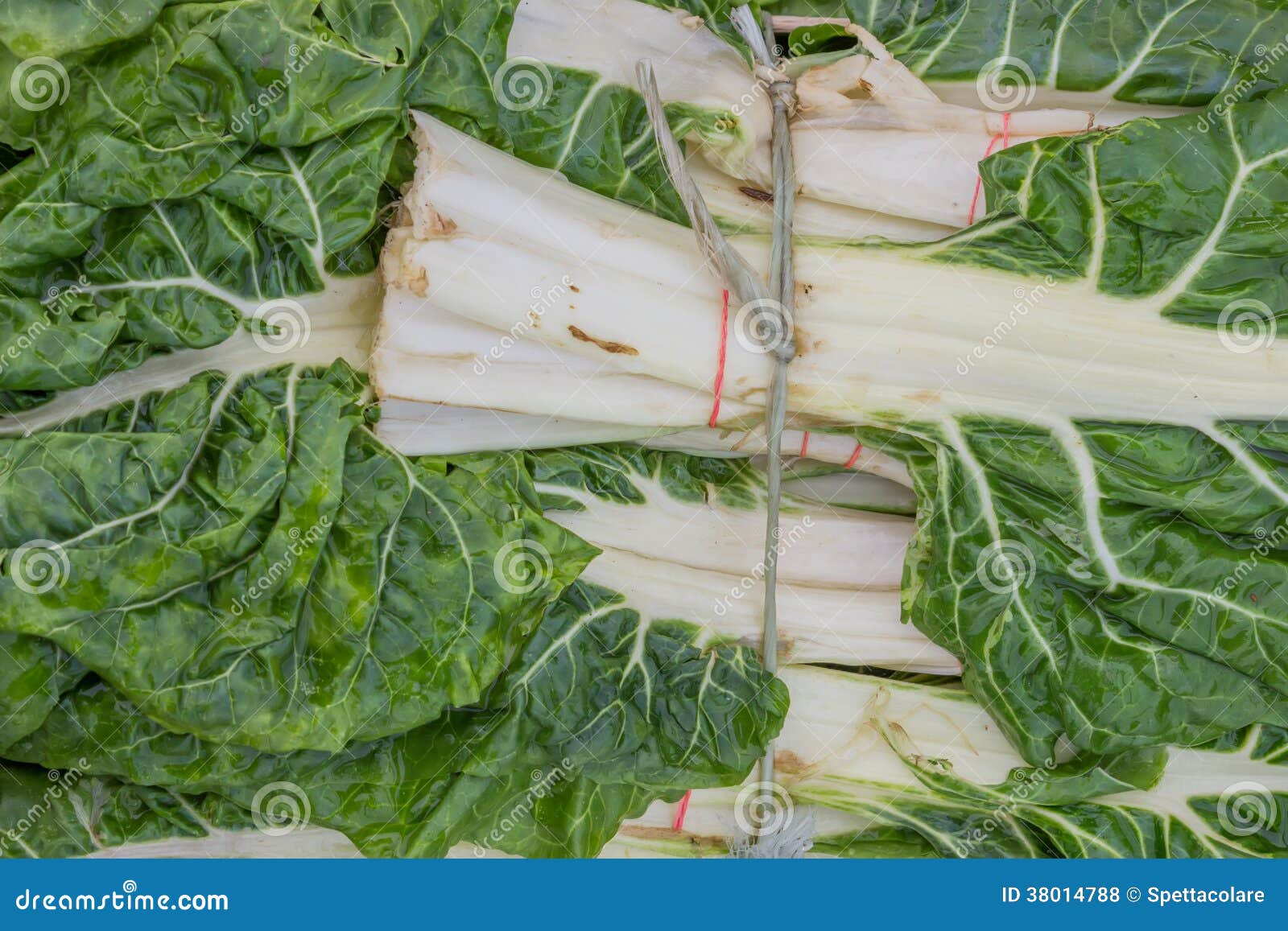 Fresh Organic Collard Greens Background Stock Photo Image of leafy, berza 38014788