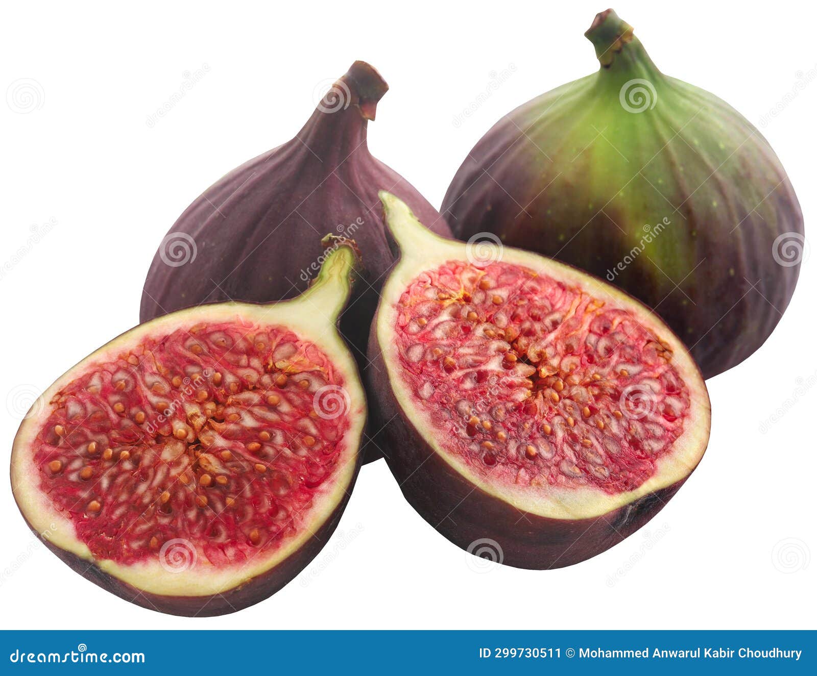 Fresh organic common fig stock image. Image of plant 299730511